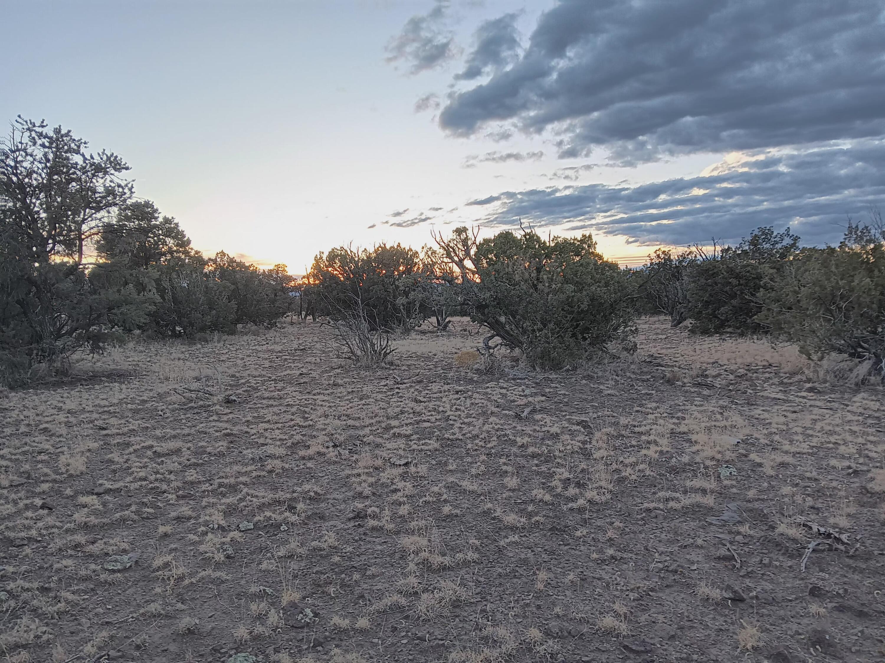 South Spirit Way, Magdalena, New Mexico image 25