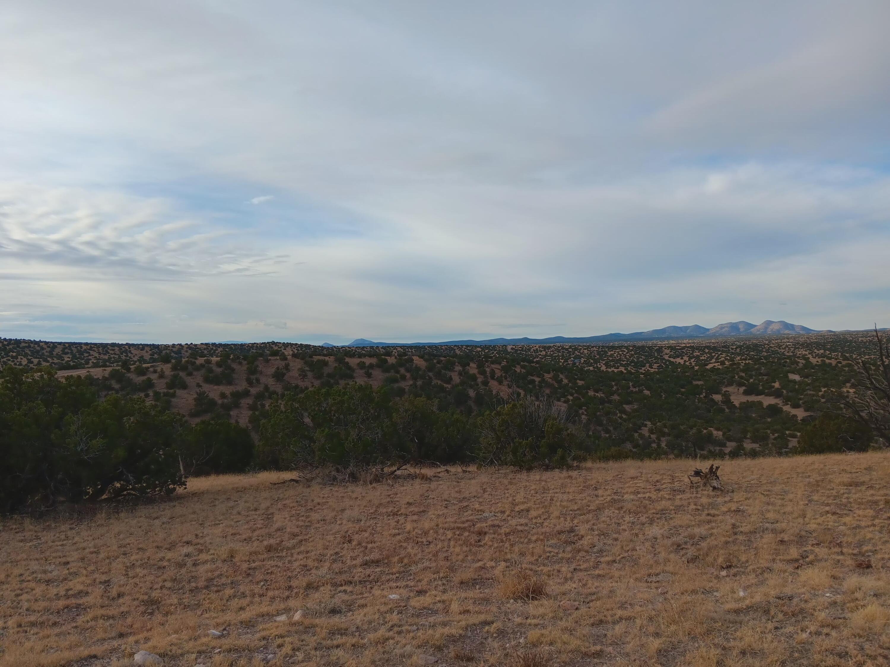 South Spirit Way, Magdalena, New Mexico image 26