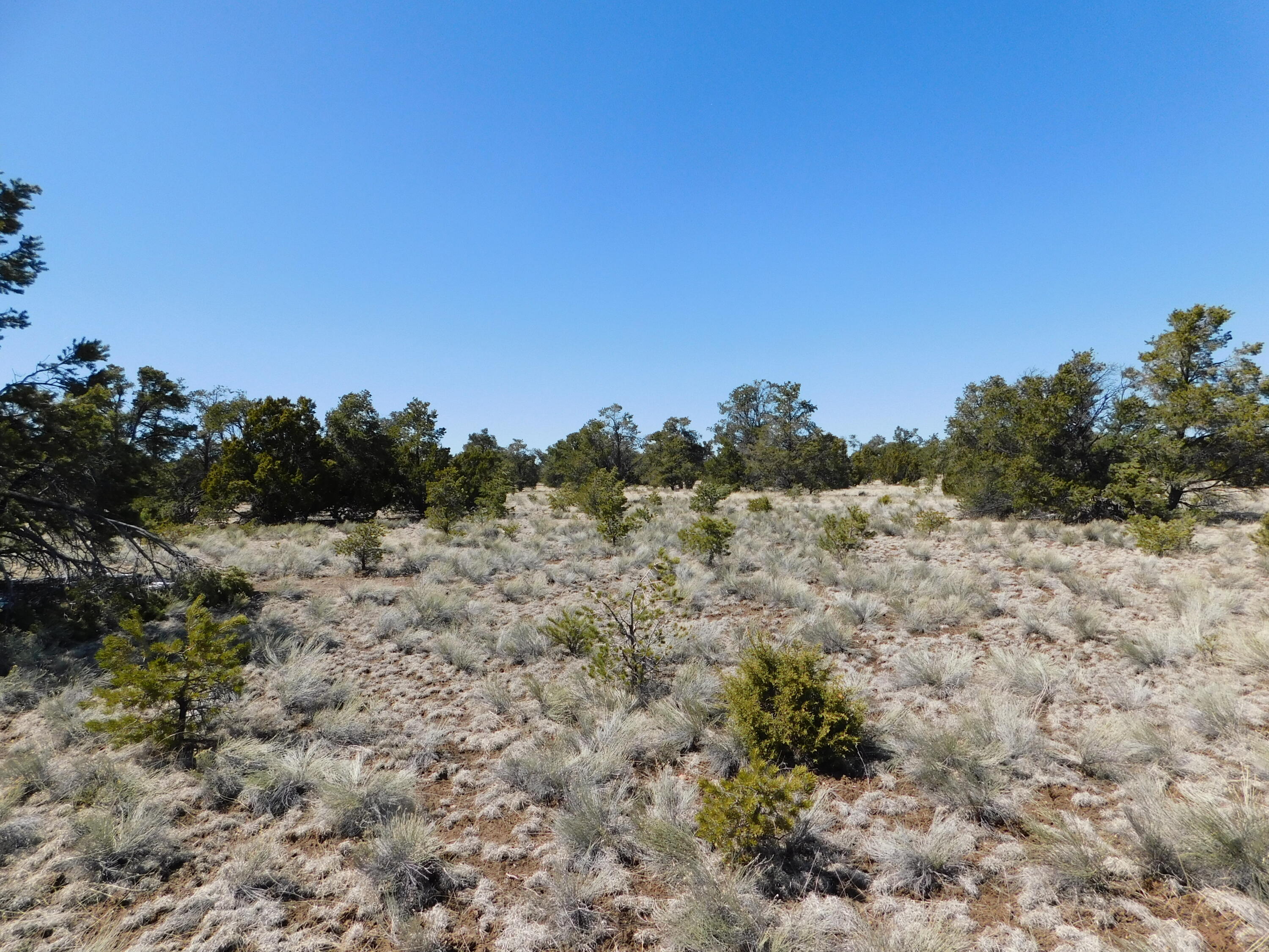 LOT 81 Artesian Avenue