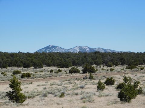 Vacant Land For Sale - LOT 81 Artesian Avenue<br/> Catron County, Quemado, NM 87829