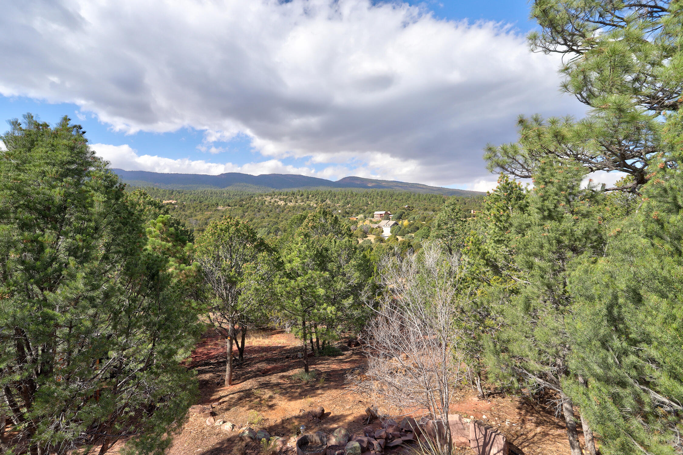 16 Avenida Del Sol, Cedar Crest, New Mexico image 37