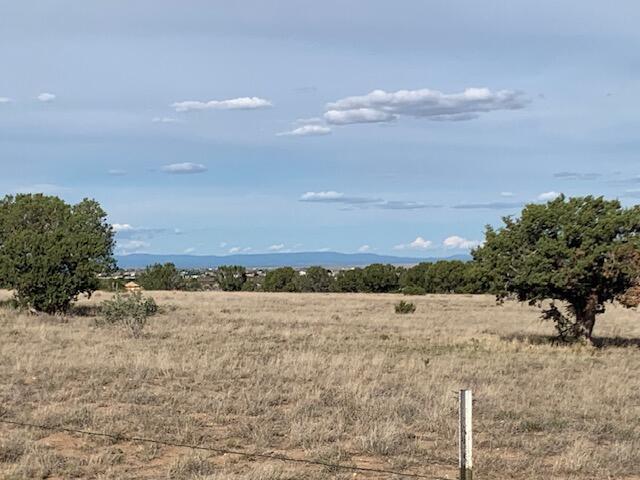 10 Moonlight Meadows