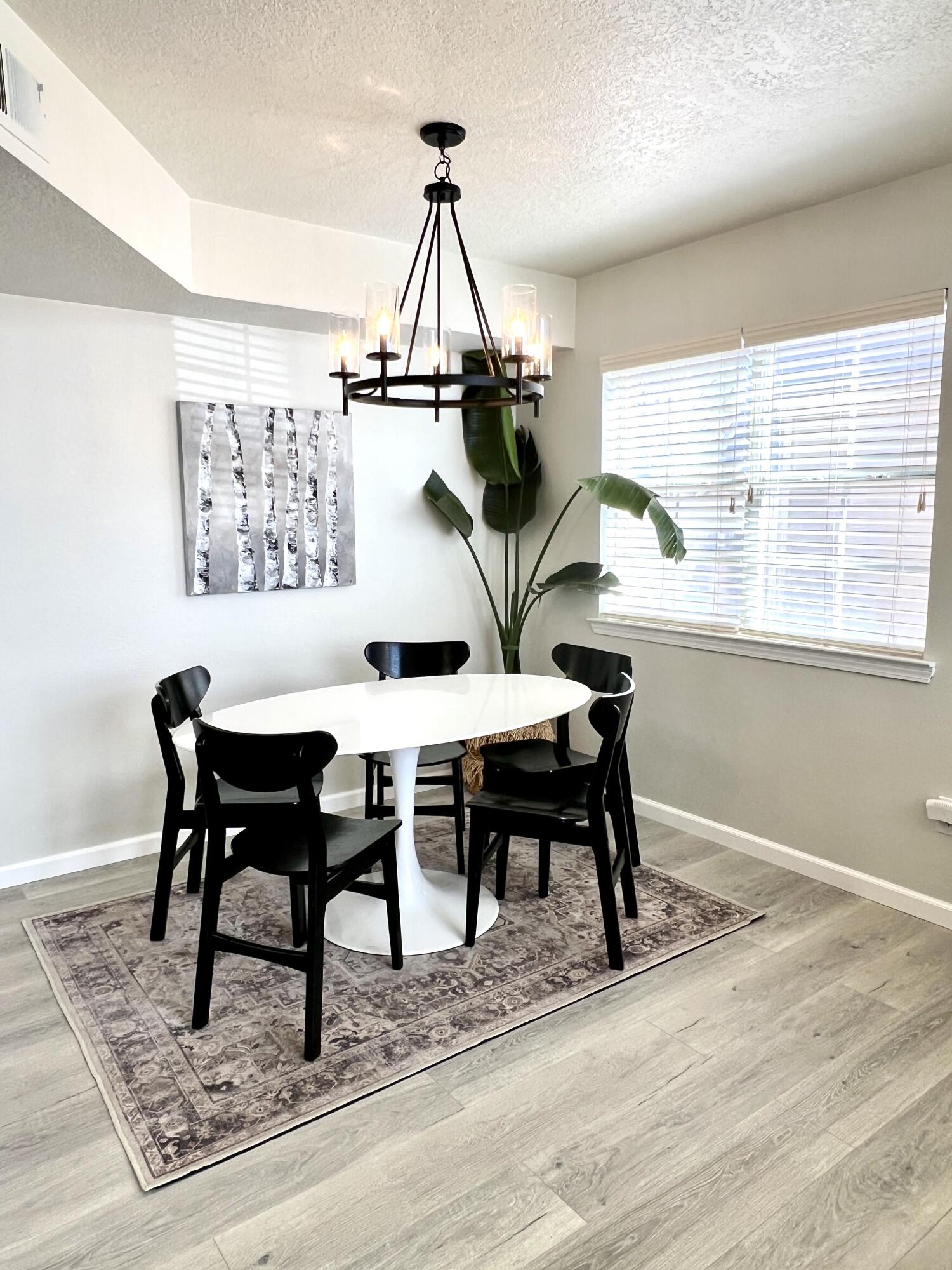 7800 Sunrose Drive, Albuquerque, New Mexico image 9