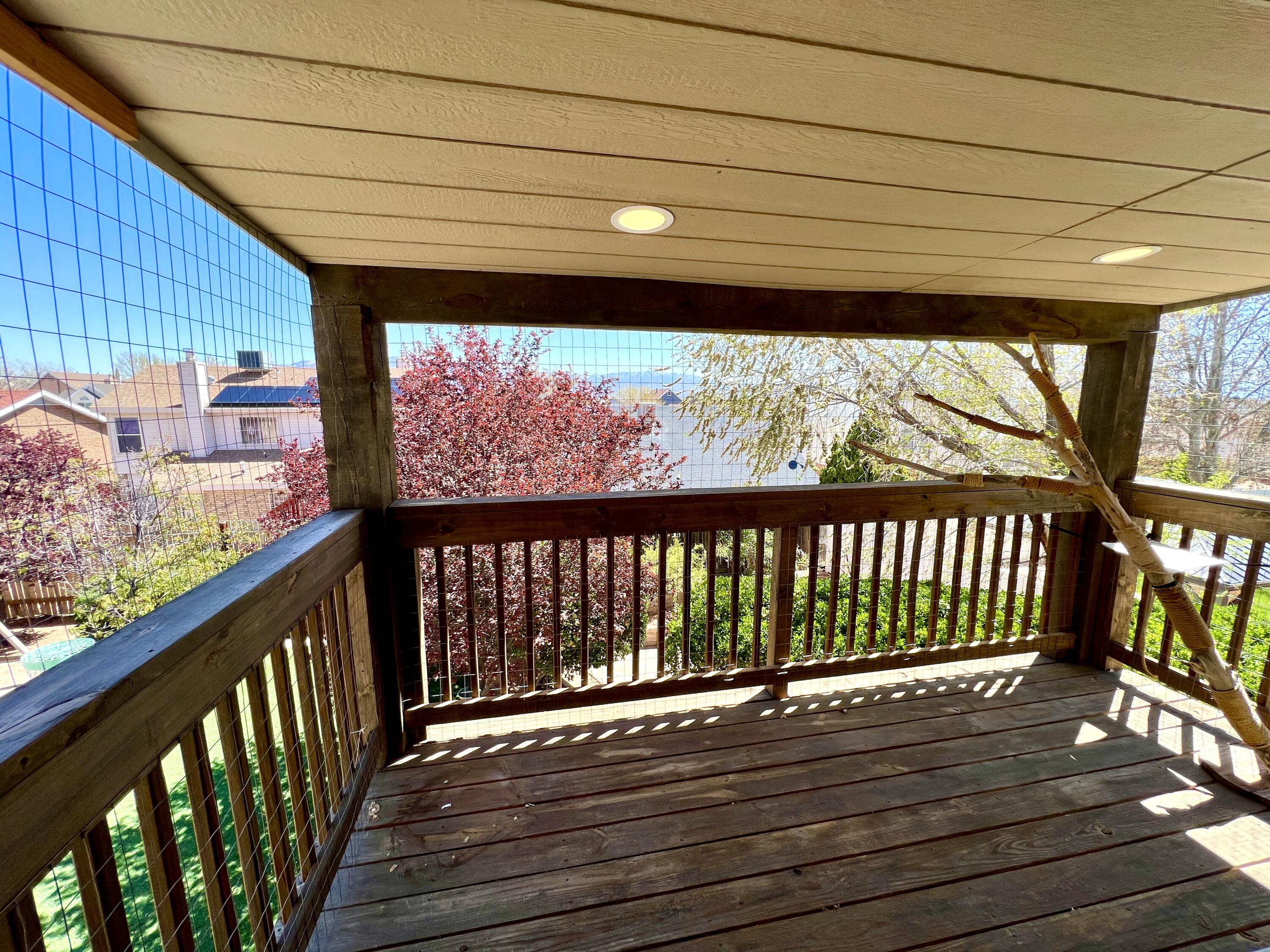 7800 Sunrose Drive, Albuquerque, New Mexico image 23