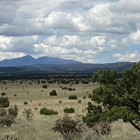 Vacant Land For Sale - County Road A052<br/> Estancia, NM 87016