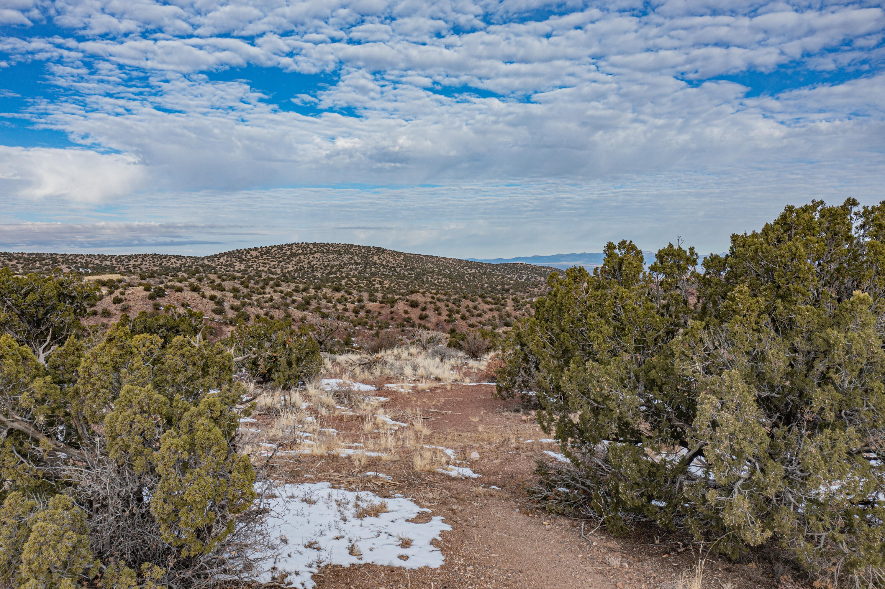 225 Cornflower Court, Placitas, New Mexico image 4