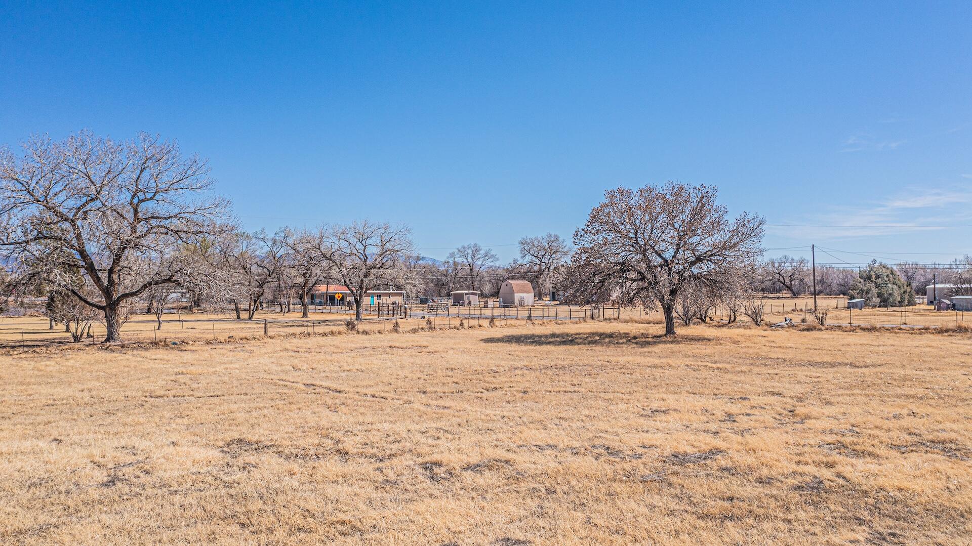 59 Sunflower Lane, Peralta, New Mexico image 4