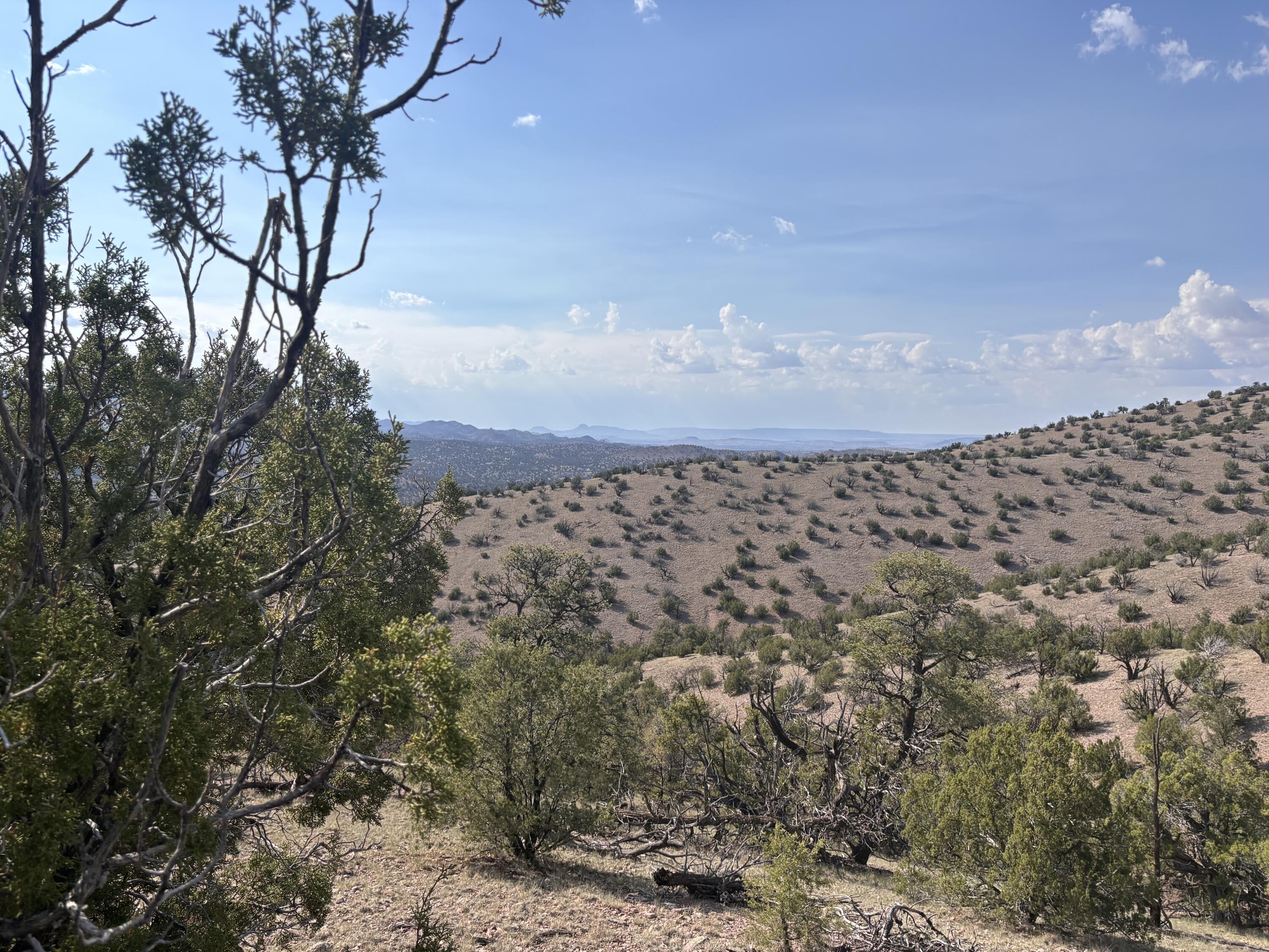 Lot 153 Pinon Springs Ranch
