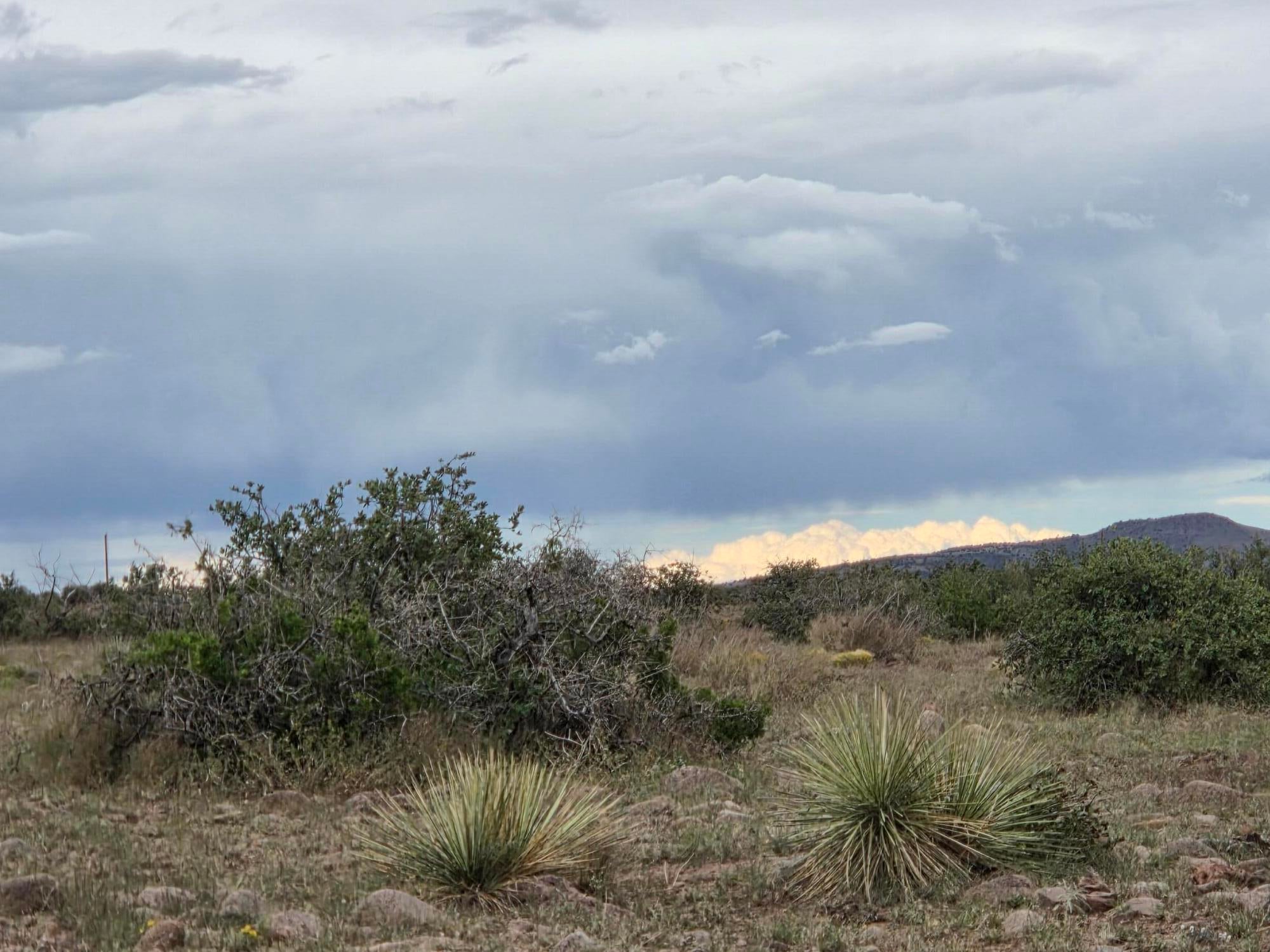 VL WILLOW SPRINGS RANCH Lot 2-9