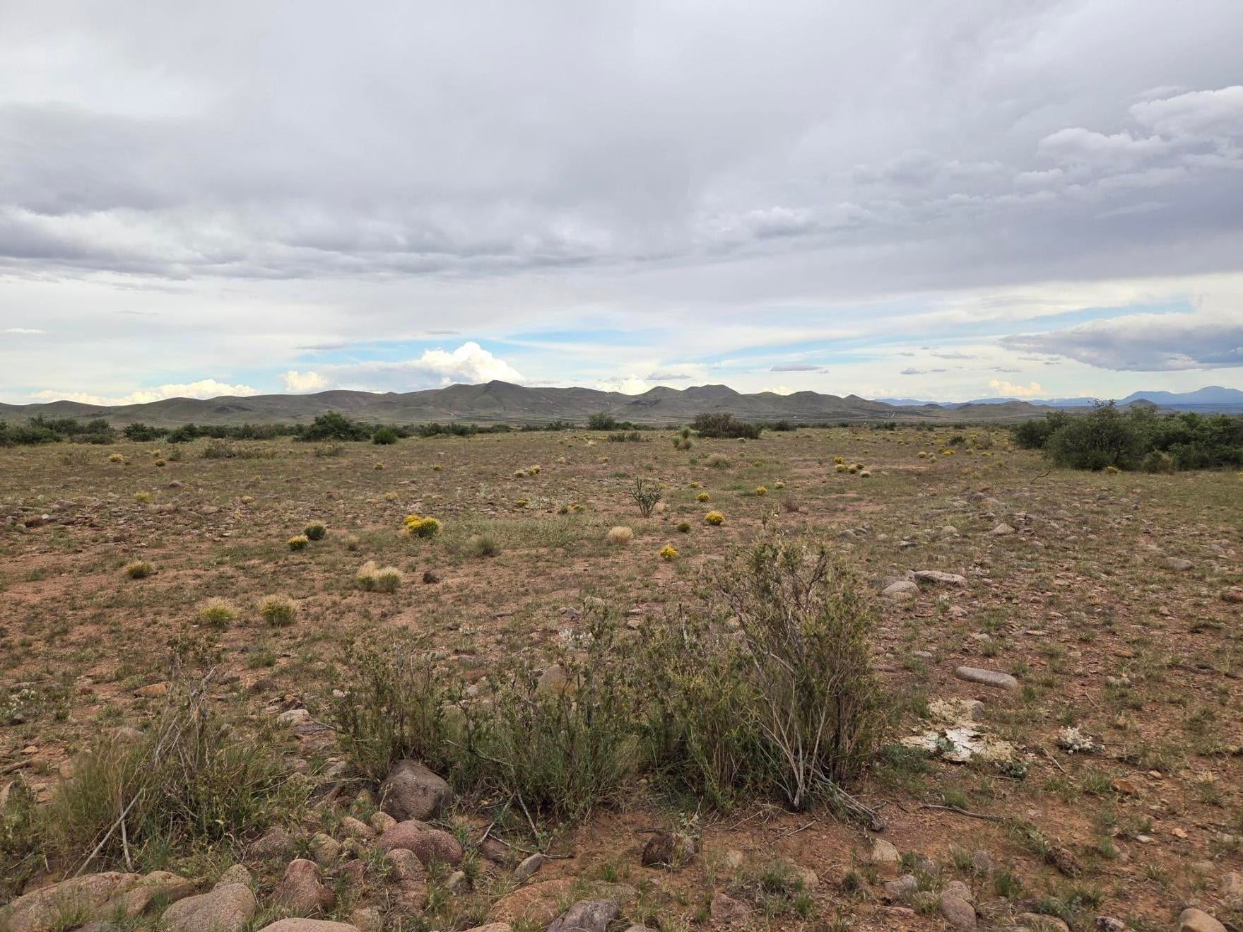 VL WILLOW SPRINGS RANCH Lot 2-9