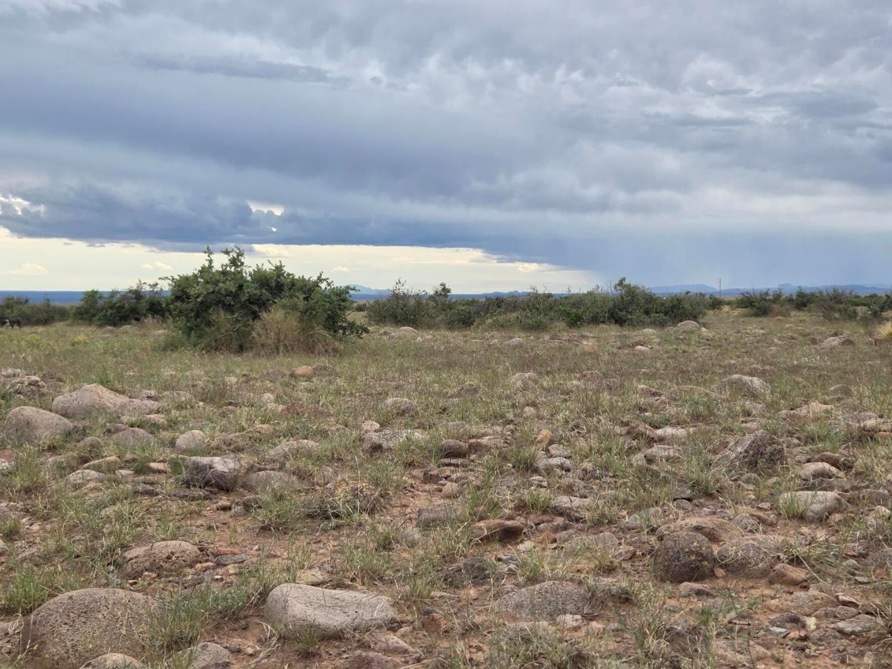 VL WILLOW SPRINGS RANCH Lot 2-9