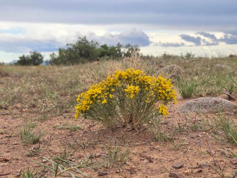 Vacant Land For Sale - VL Willow Springs Ranch Lot 2-9<br/> San Antonio, NM 87832