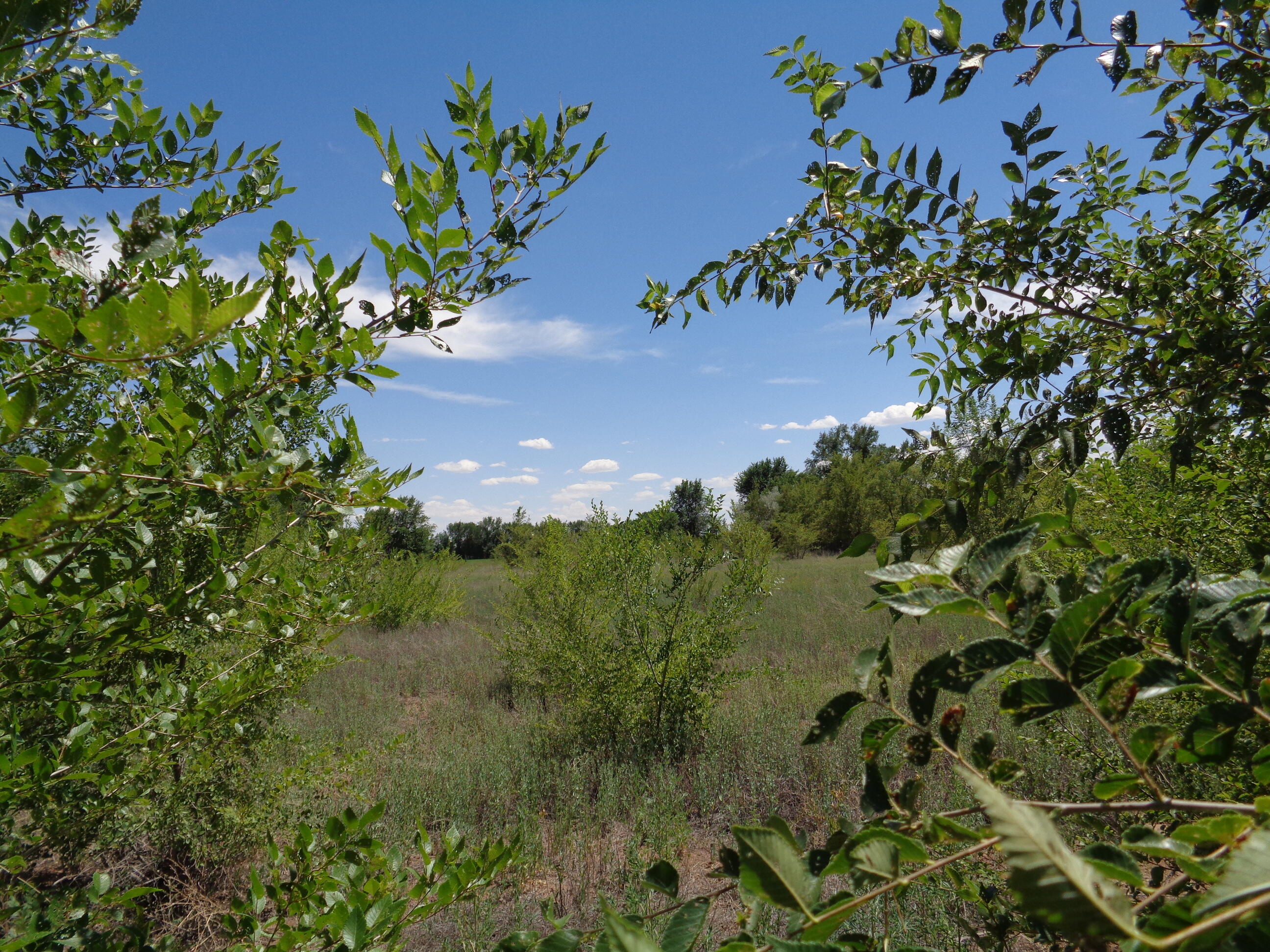 Romero Road, Jarales, New Mexico image 5