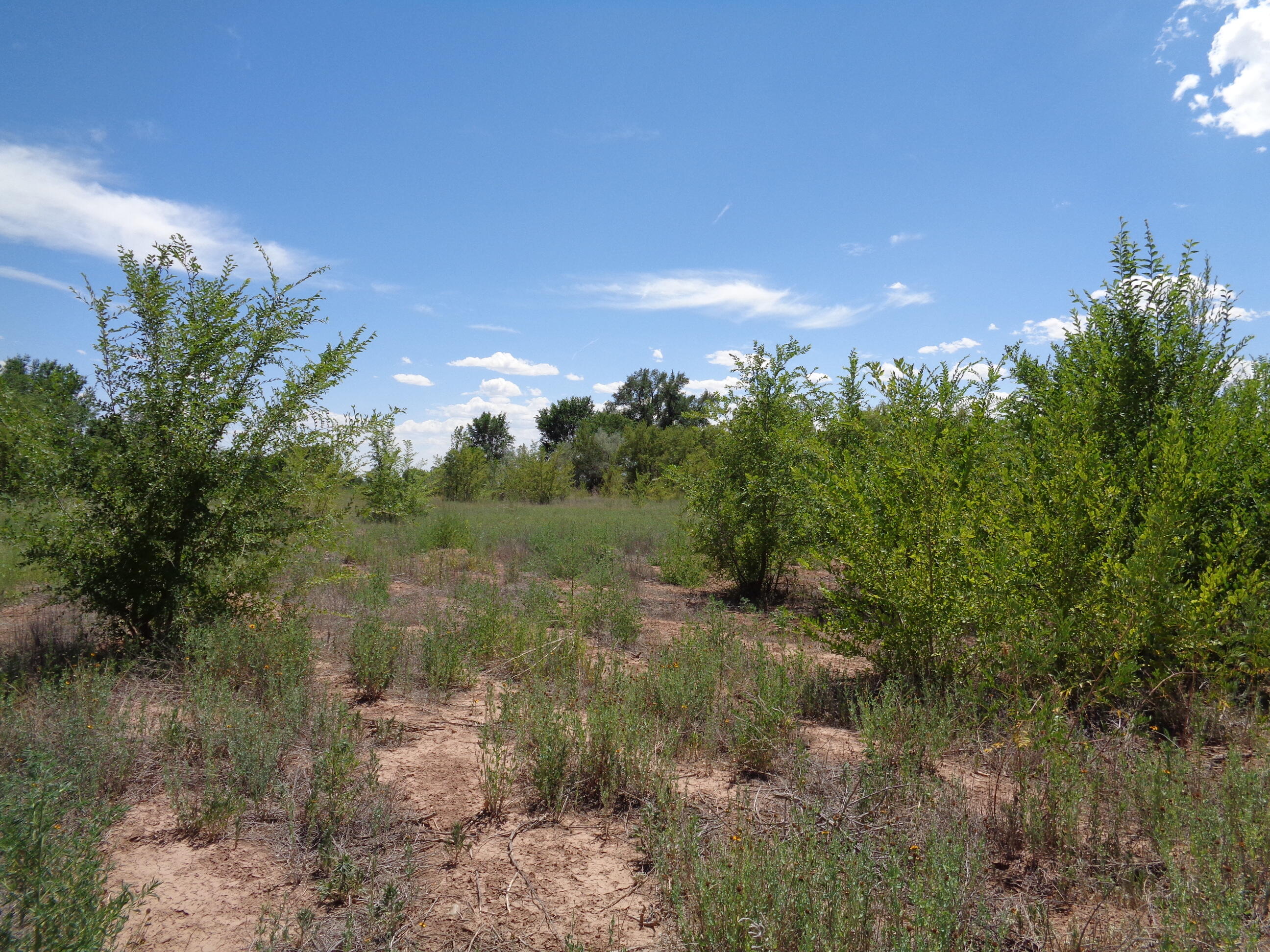 Romero Road, Jarales, New Mexico image 6