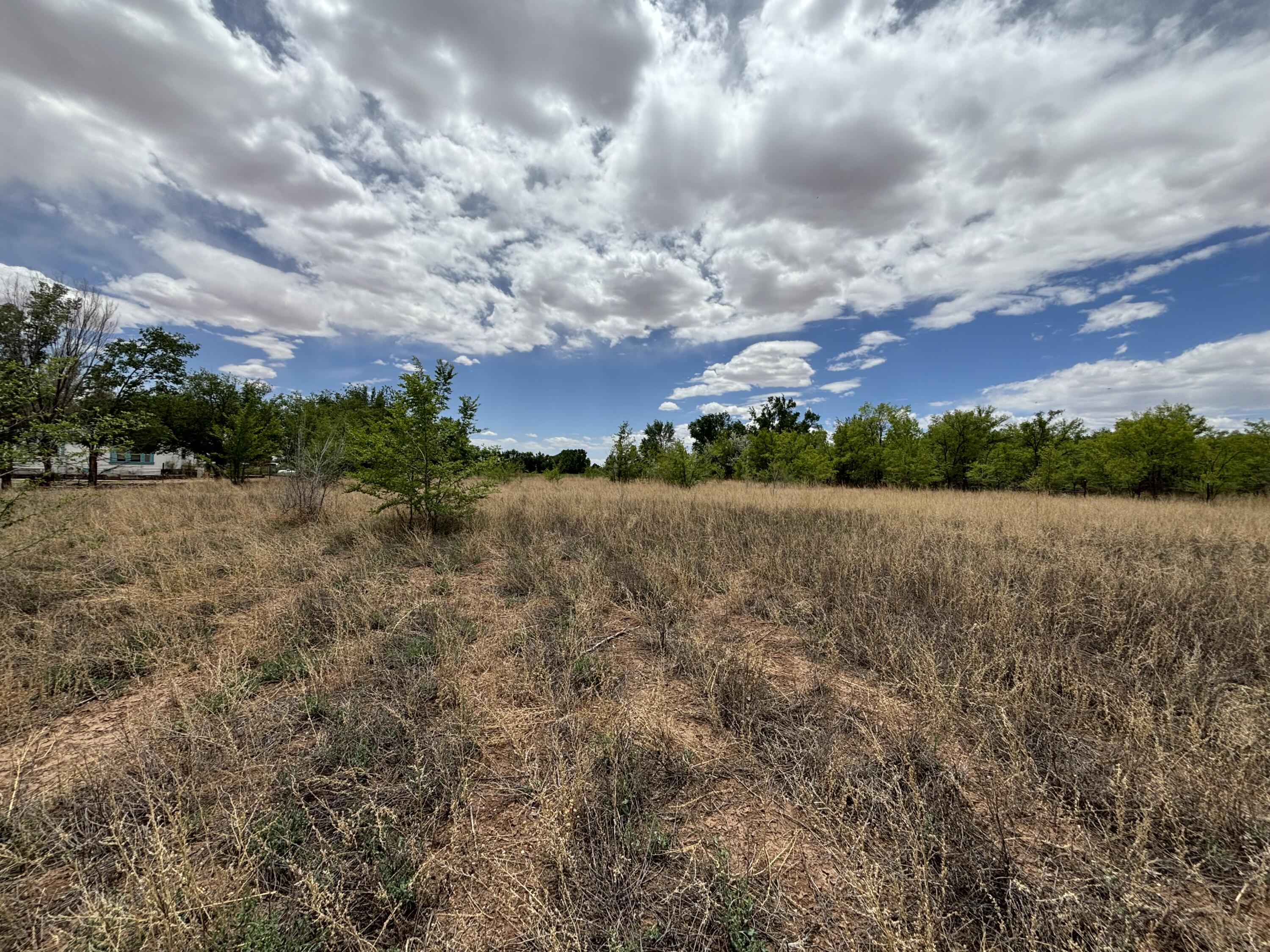 Romero Road, Jarales, New Mexico image 3