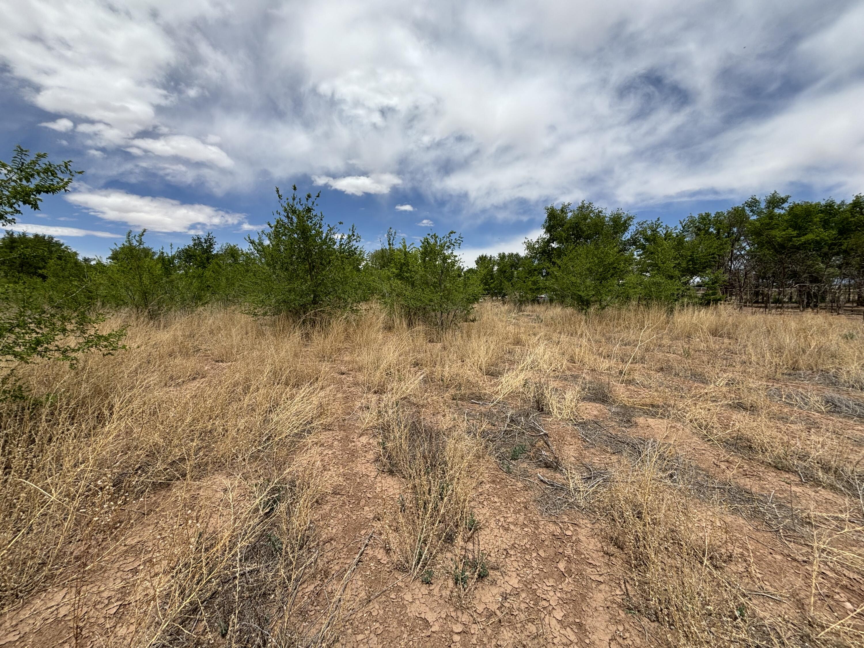 Romero Road, Jarales, New Mexico image 4