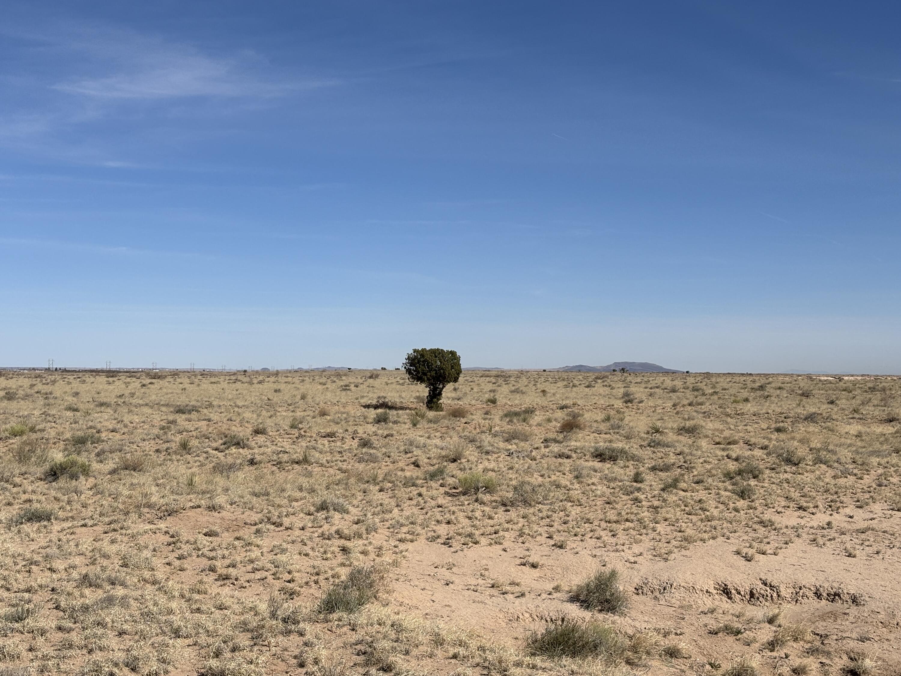 Bosque Sandhill Ranch, Belen, New Mexico image 7