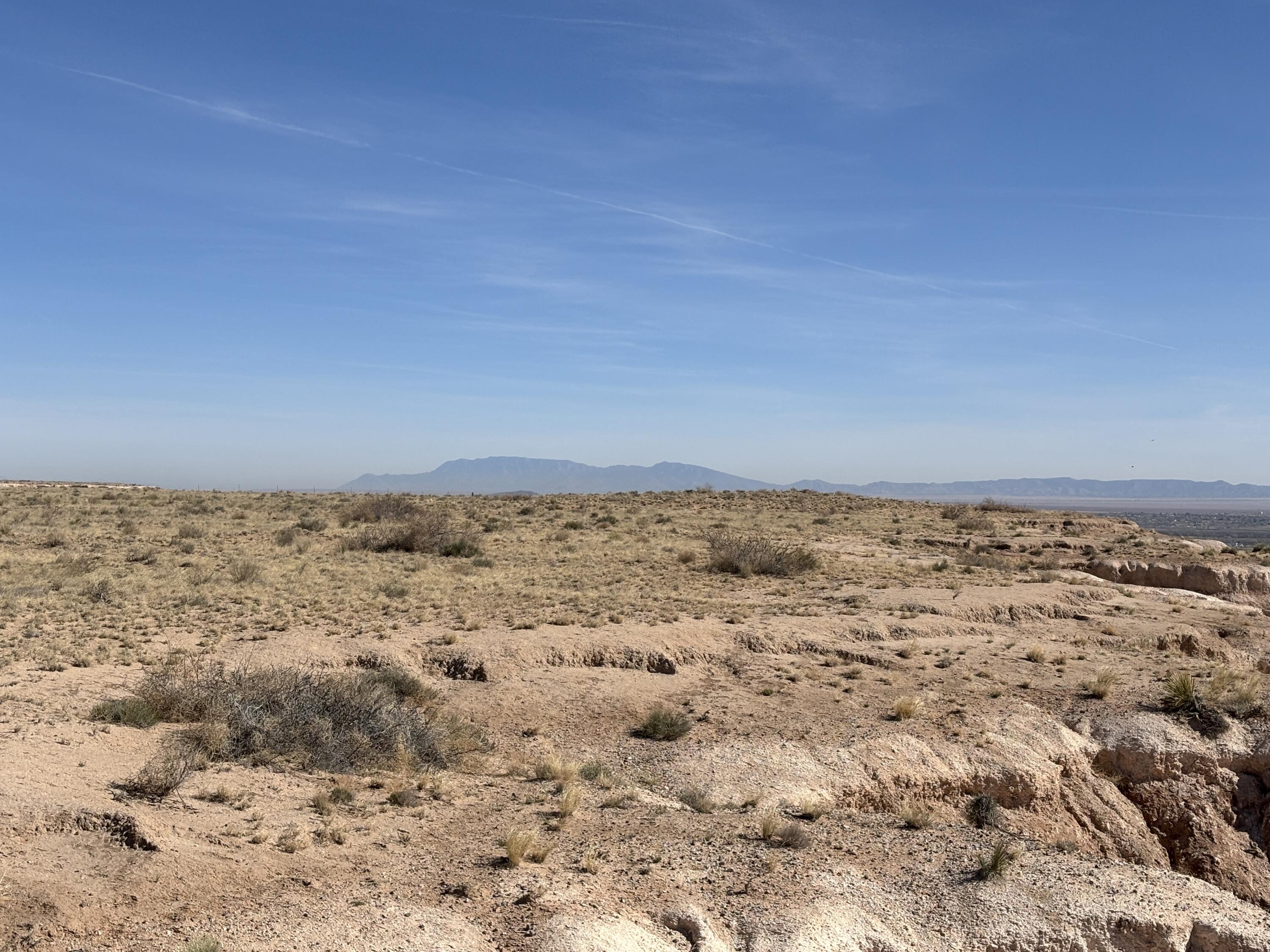 Bosque Sandhill Ranch, Belen, New Mexico image 6