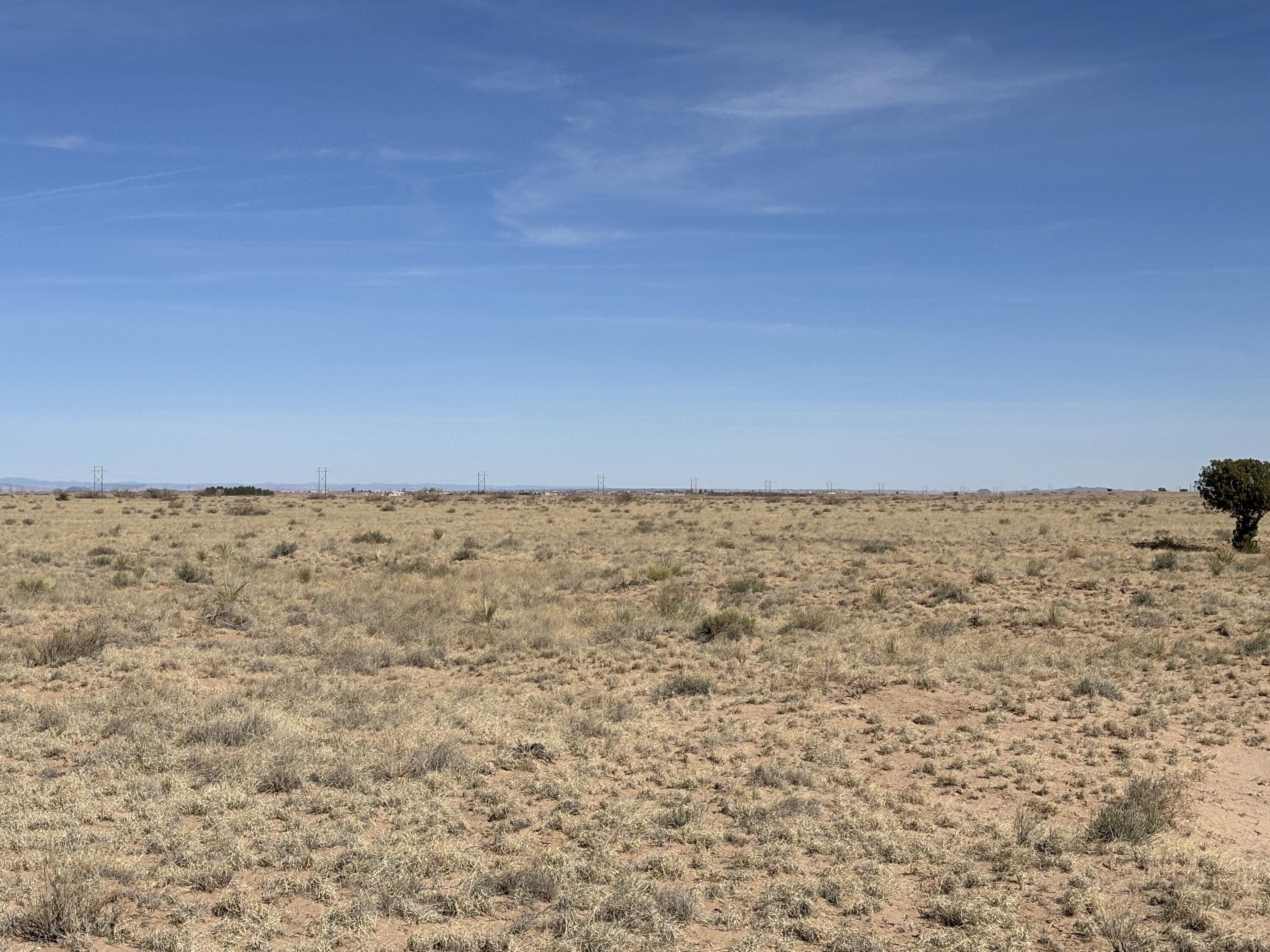 Bosque Sandhill Ranch, Belen, New Mexico image 8