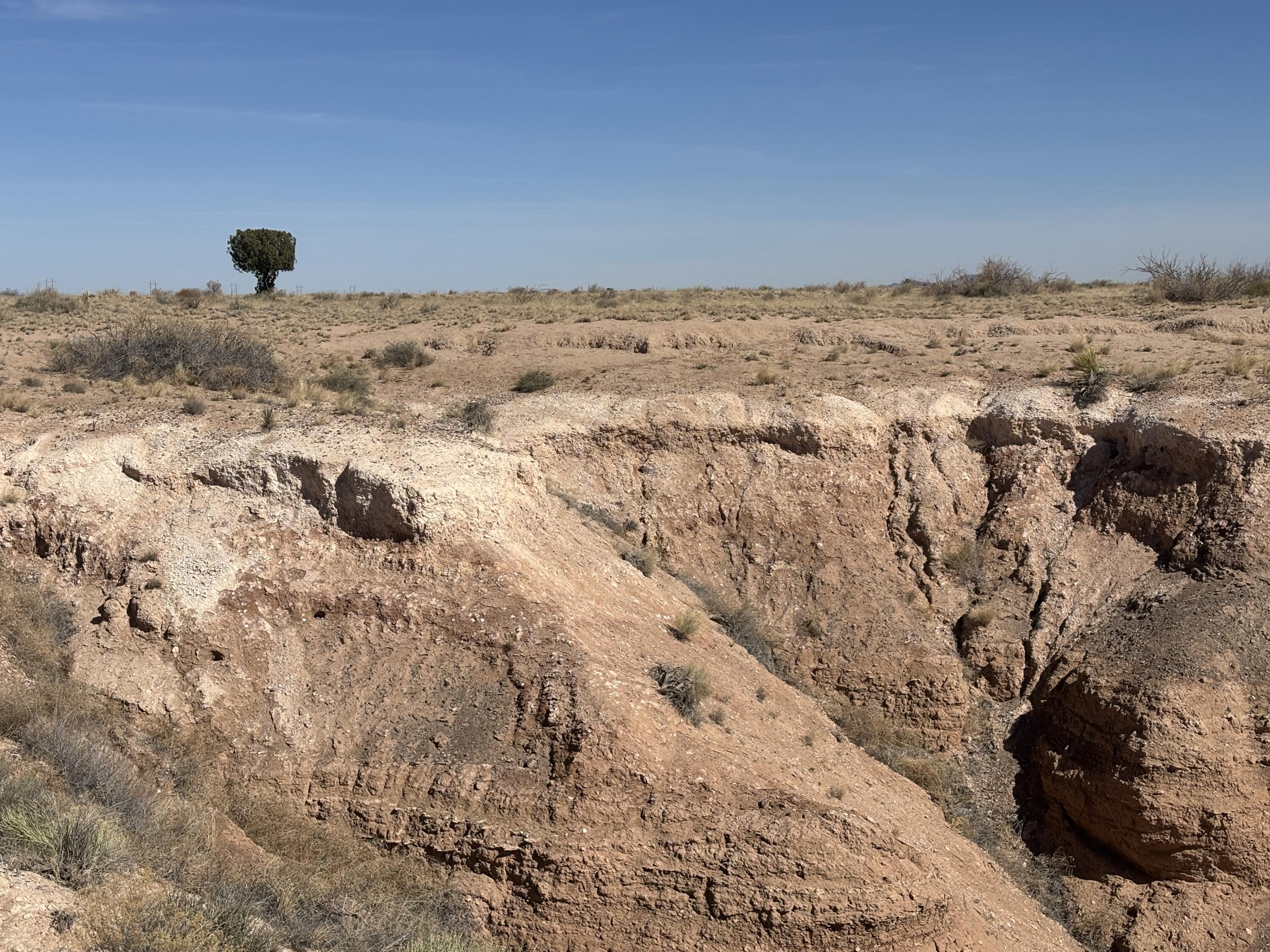 Bosque Sandhill Ranch, Belen, New Mexico image 20