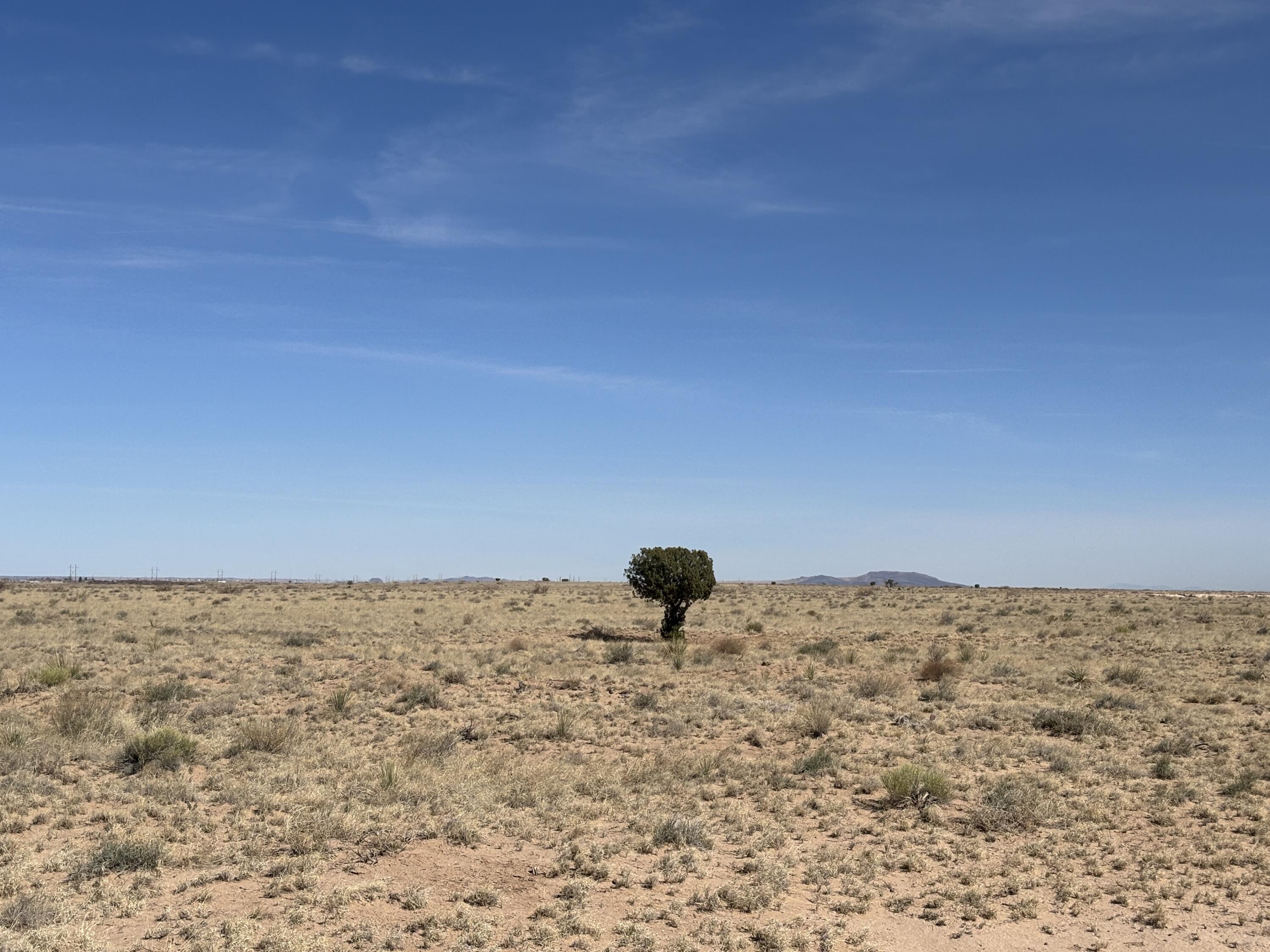 Bosque Sandhill Ranch, Belen, New Mexico image 22