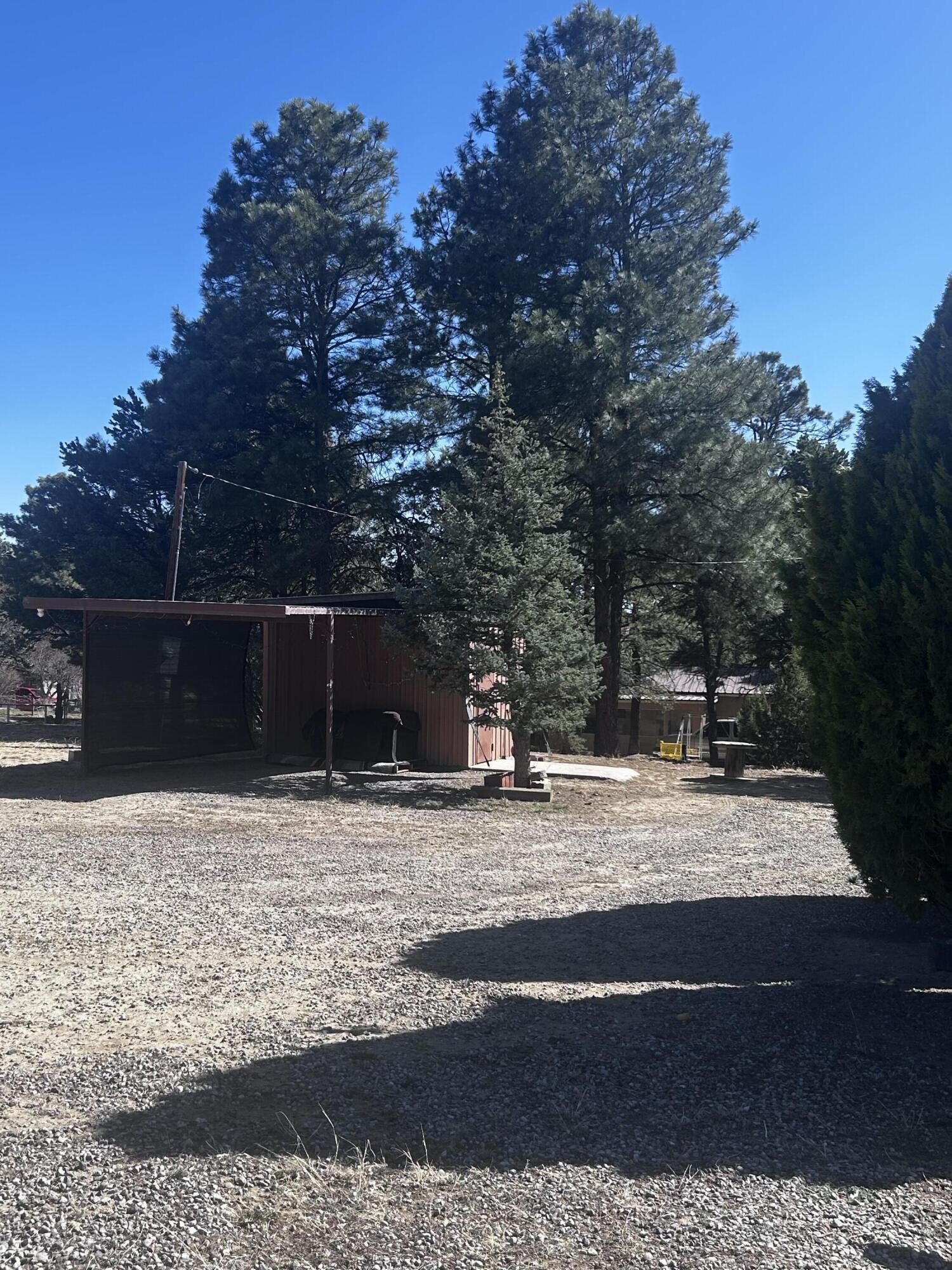 19 Pine Avenue, Cuba, New Mexico image 13