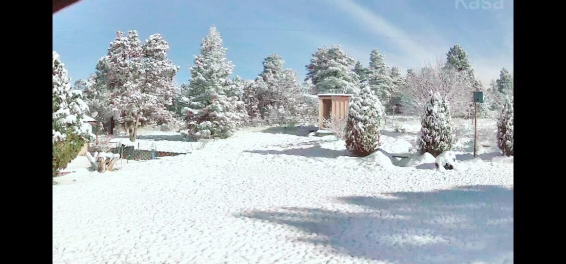 19 Pine Avenue, Cuba, New Mexico image 3