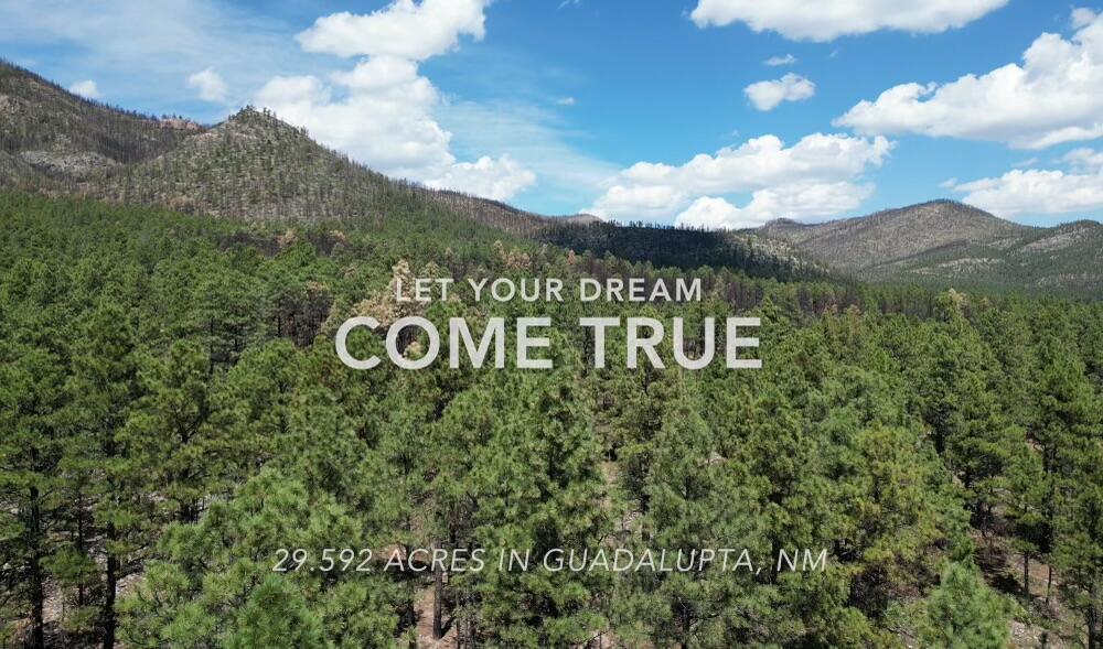 Behind1161 Nm-434, Mora, New Mexico image 2