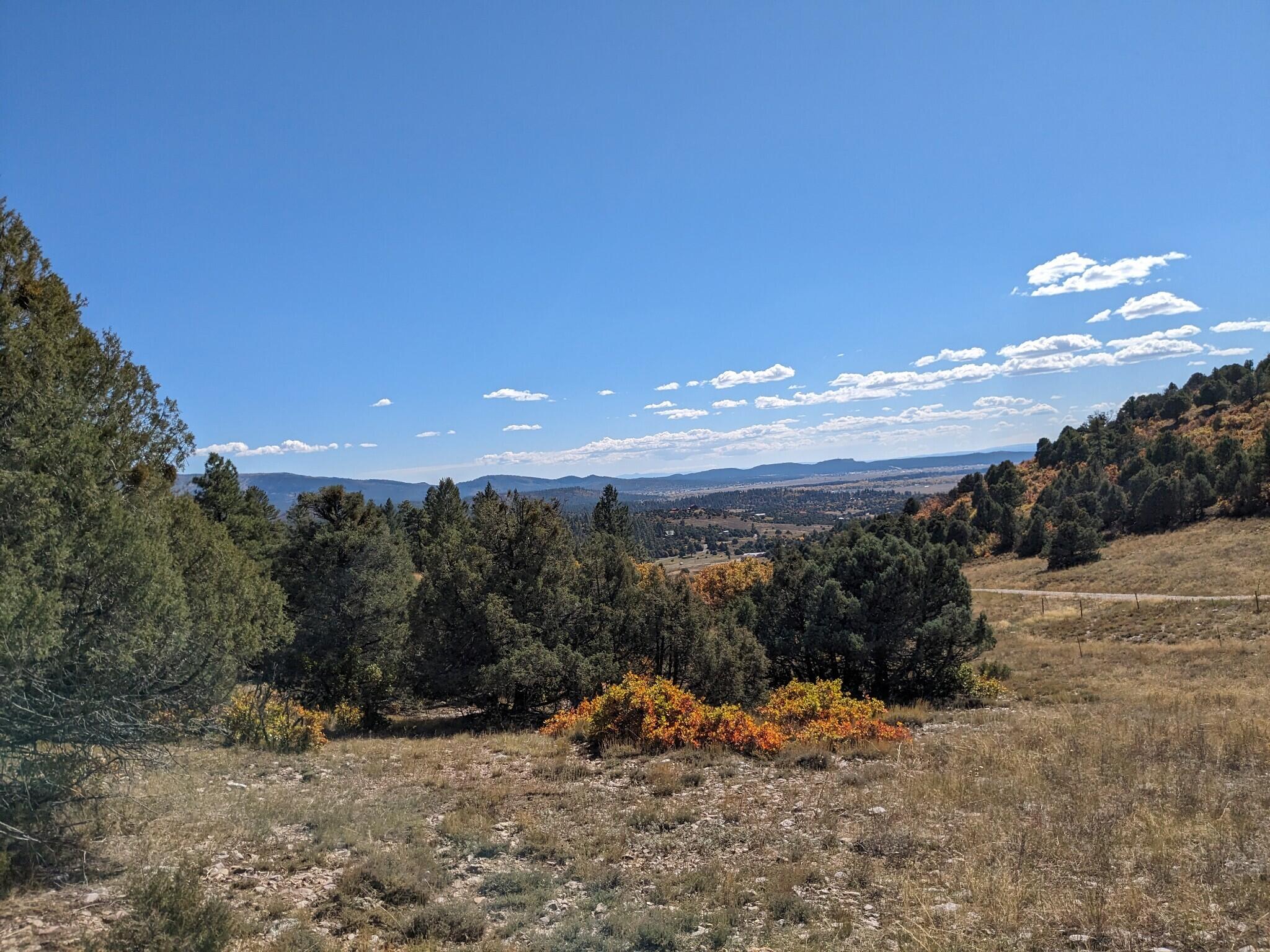 Lot Near Chama, Tierra Amarilla, New Mexico image 12