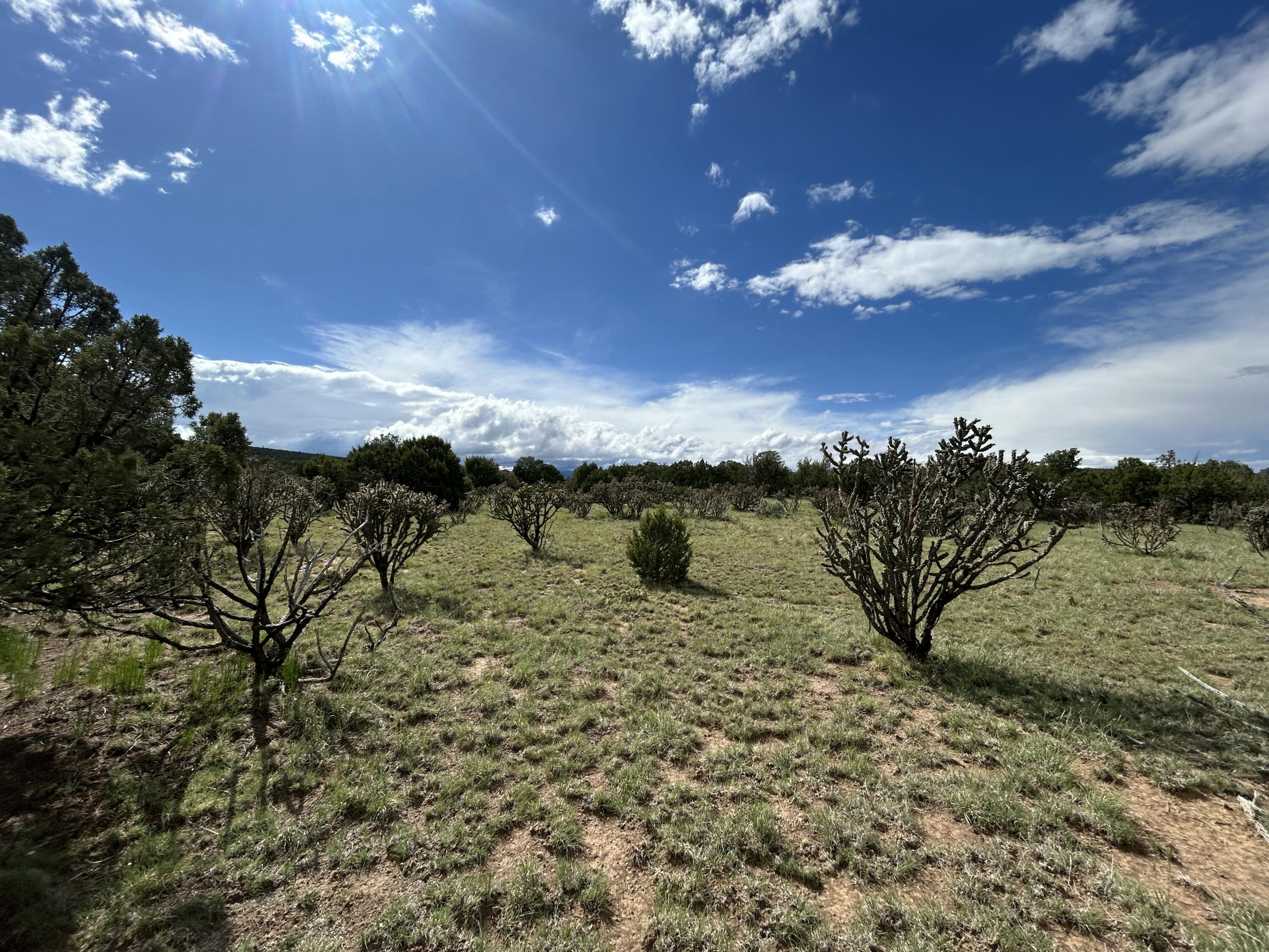 10 Koli Court, Edgewood, New Mexico image 10