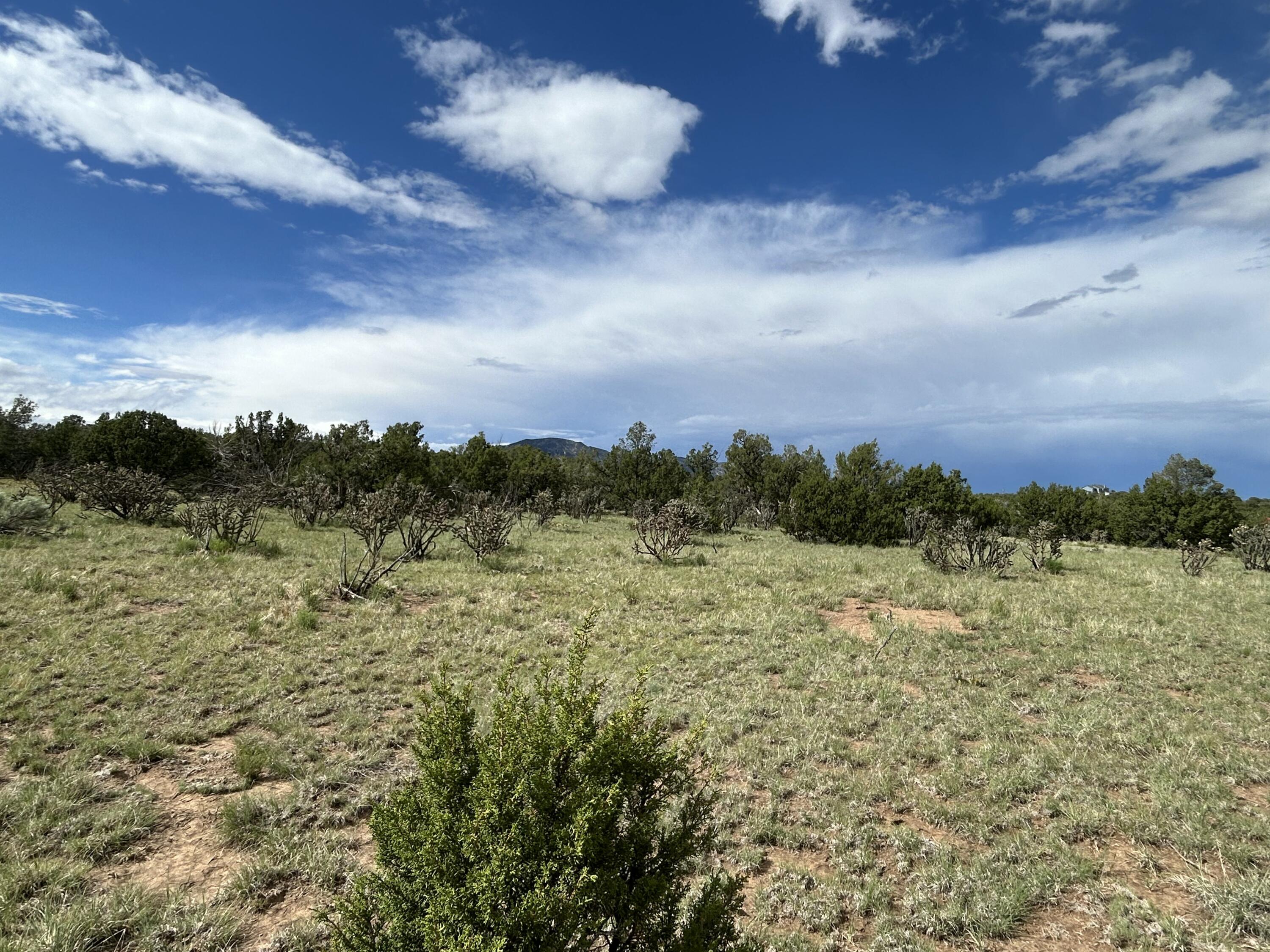 10 Koli Court, Edgewood, New Mexico image 7