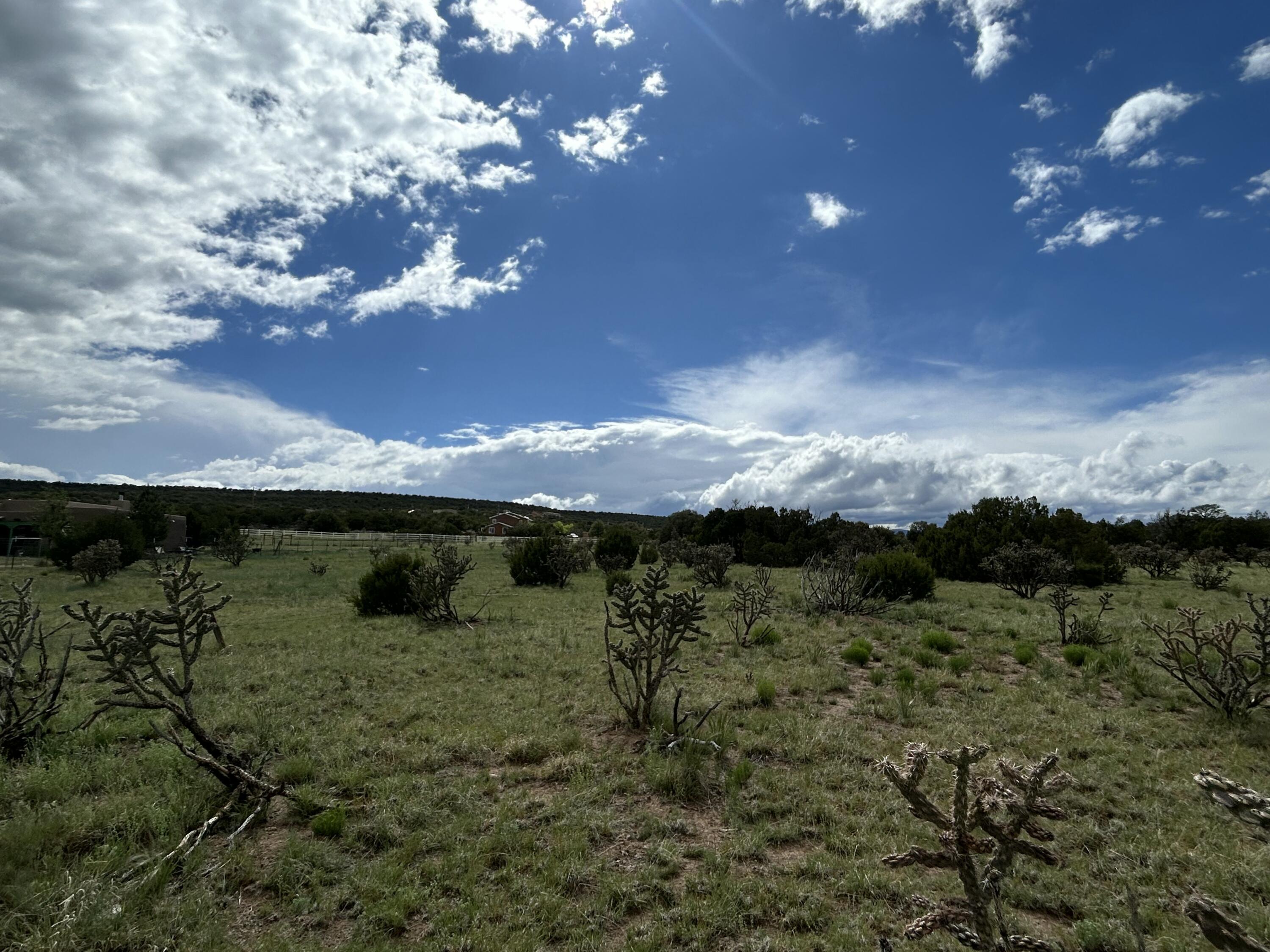 10 Koli Court, Edgewood, New Mexico image 9
