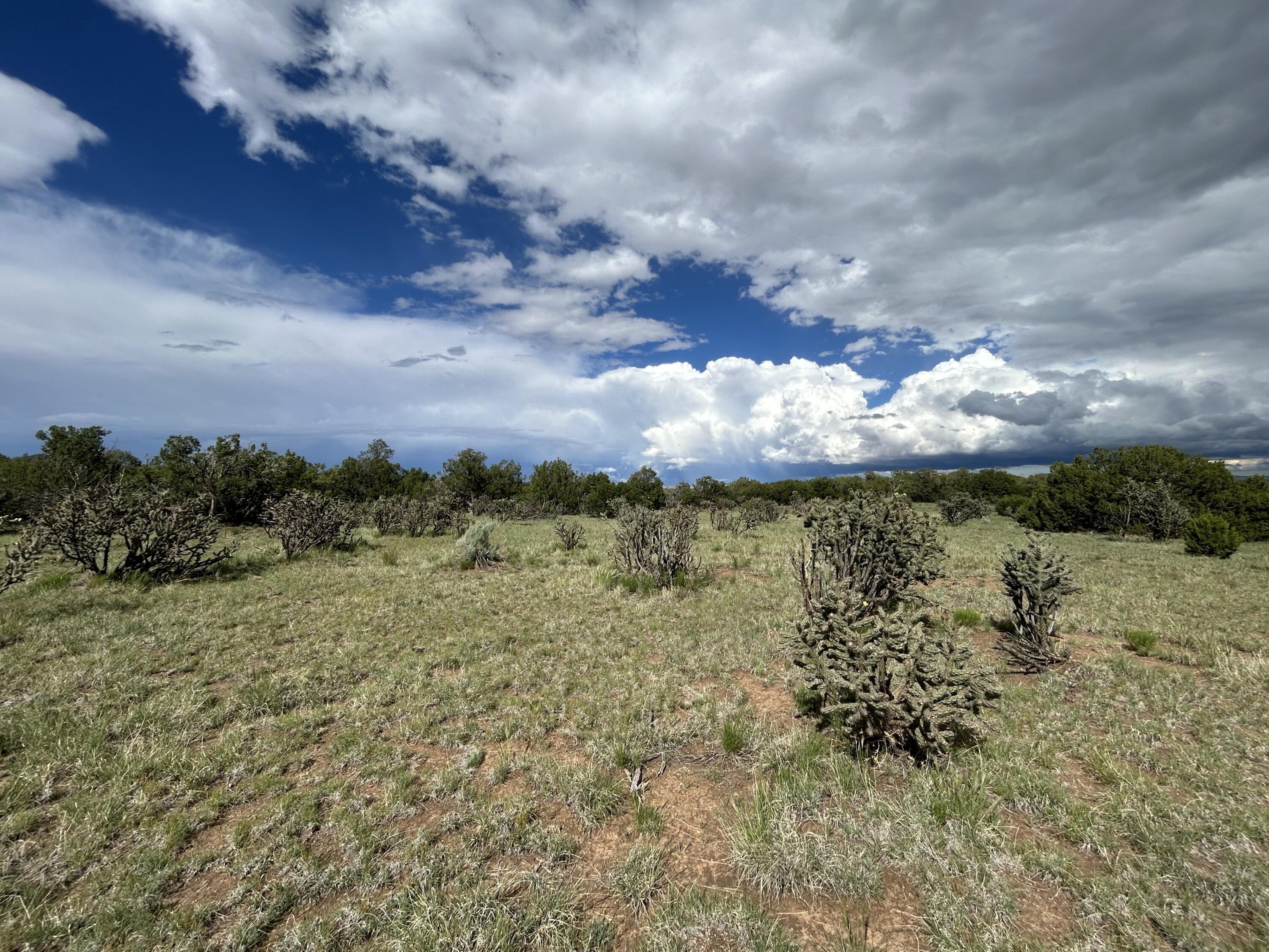 10 Koli Court, Edgewood, New Mexico image 12