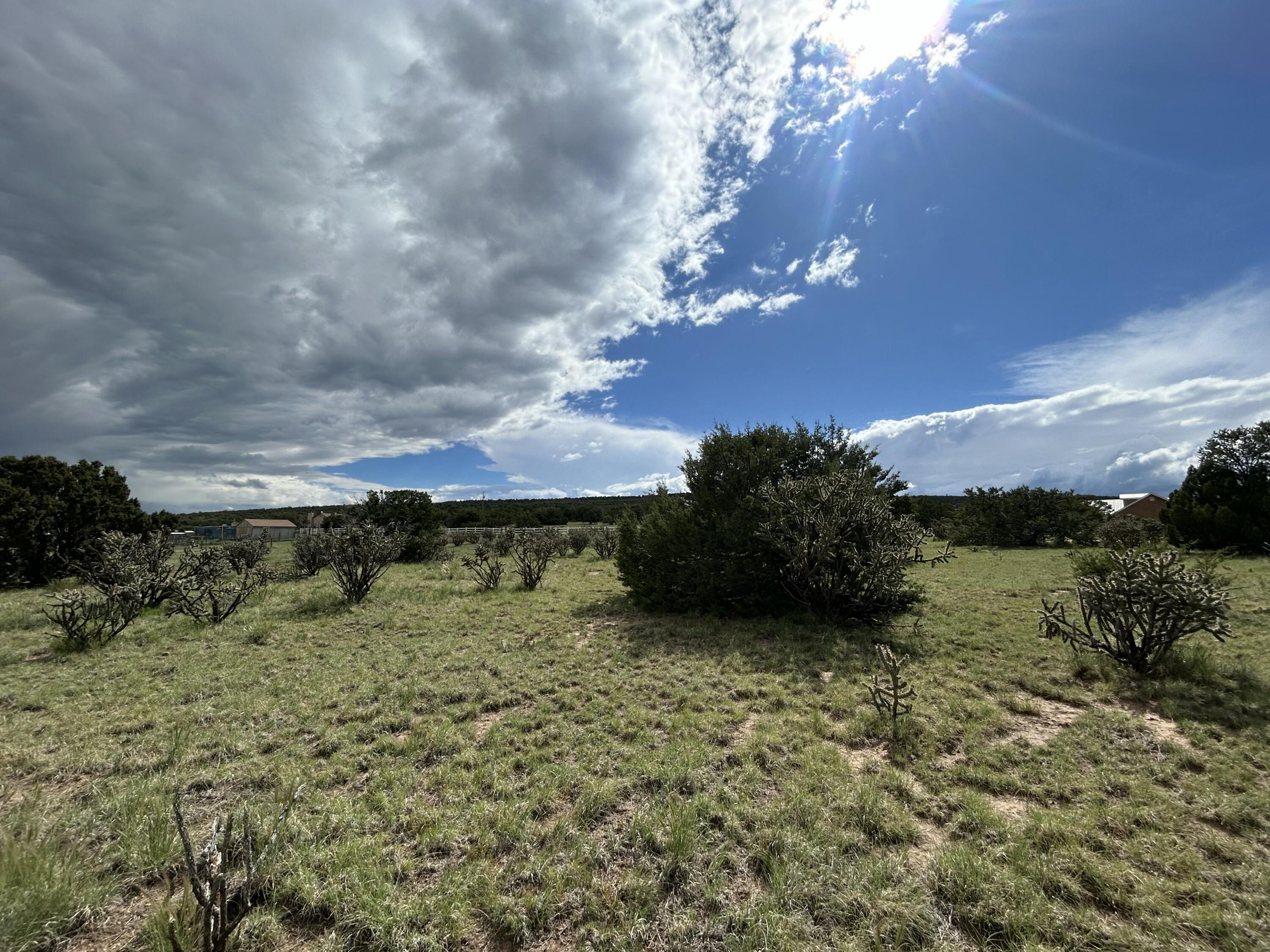 10 Koli Court, Edgewood, New Mexico image 14