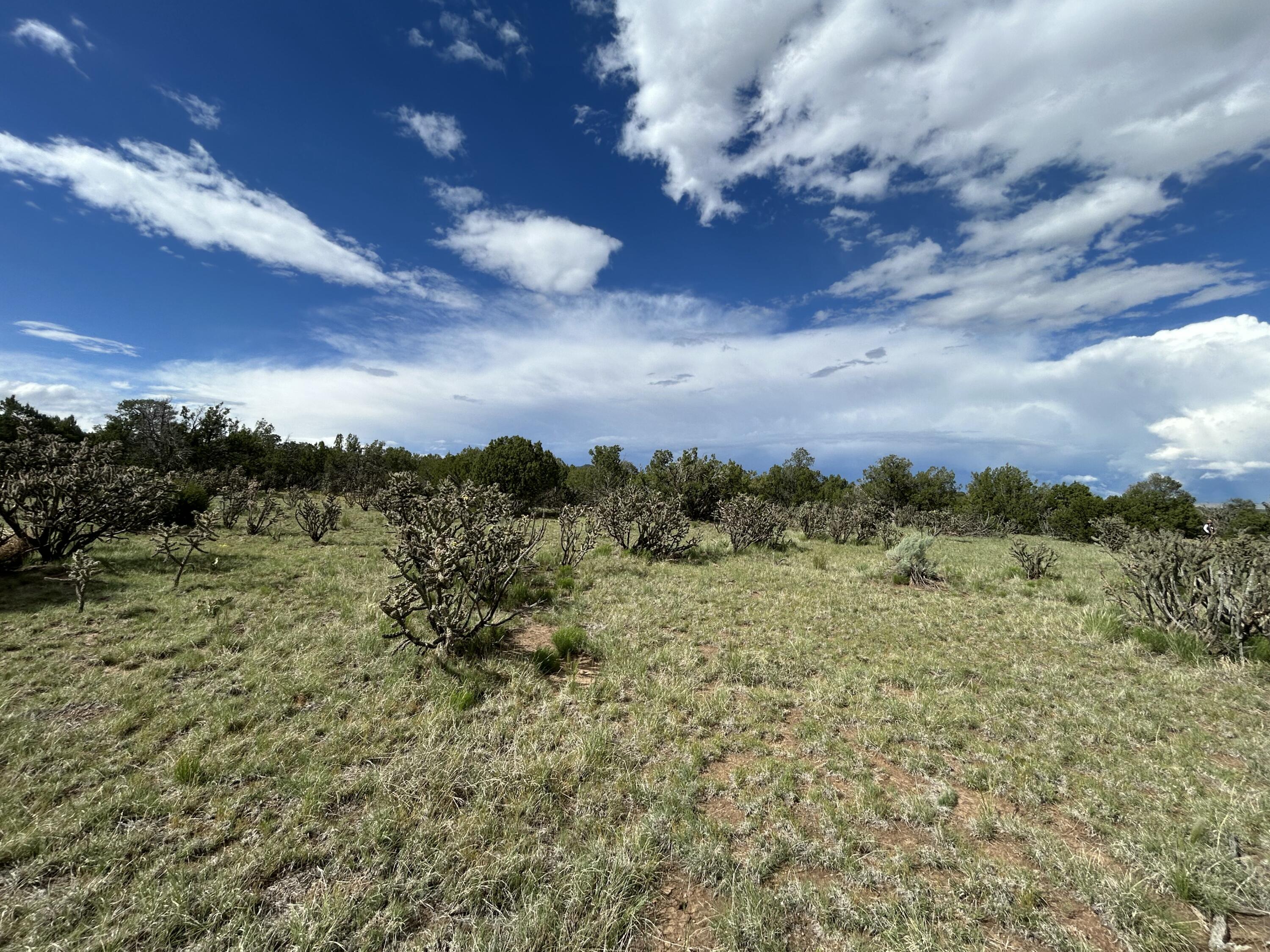 10 Koli Court, Edgewood, New Mexico image 13