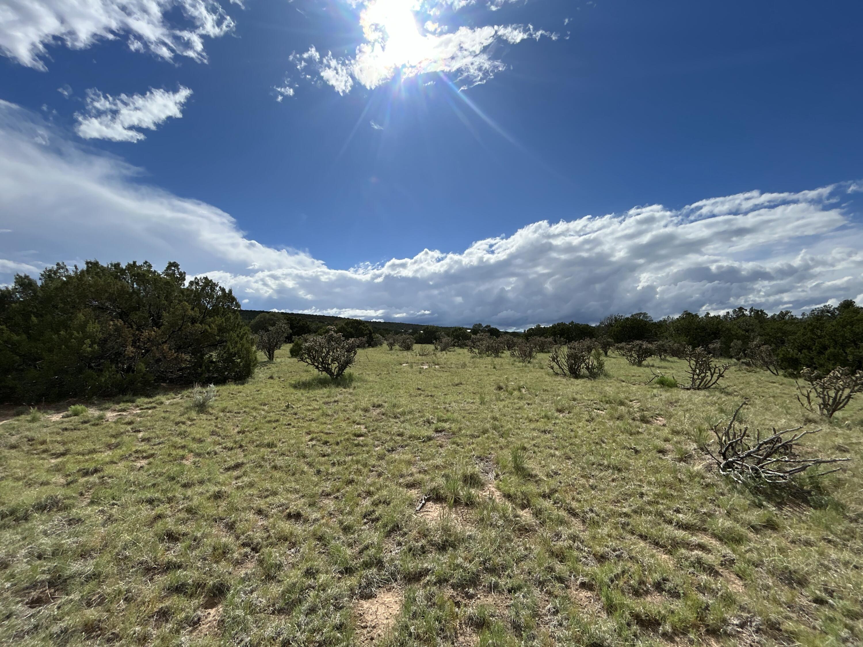 10 Koli Court, Edgewood, New Mexico image 19