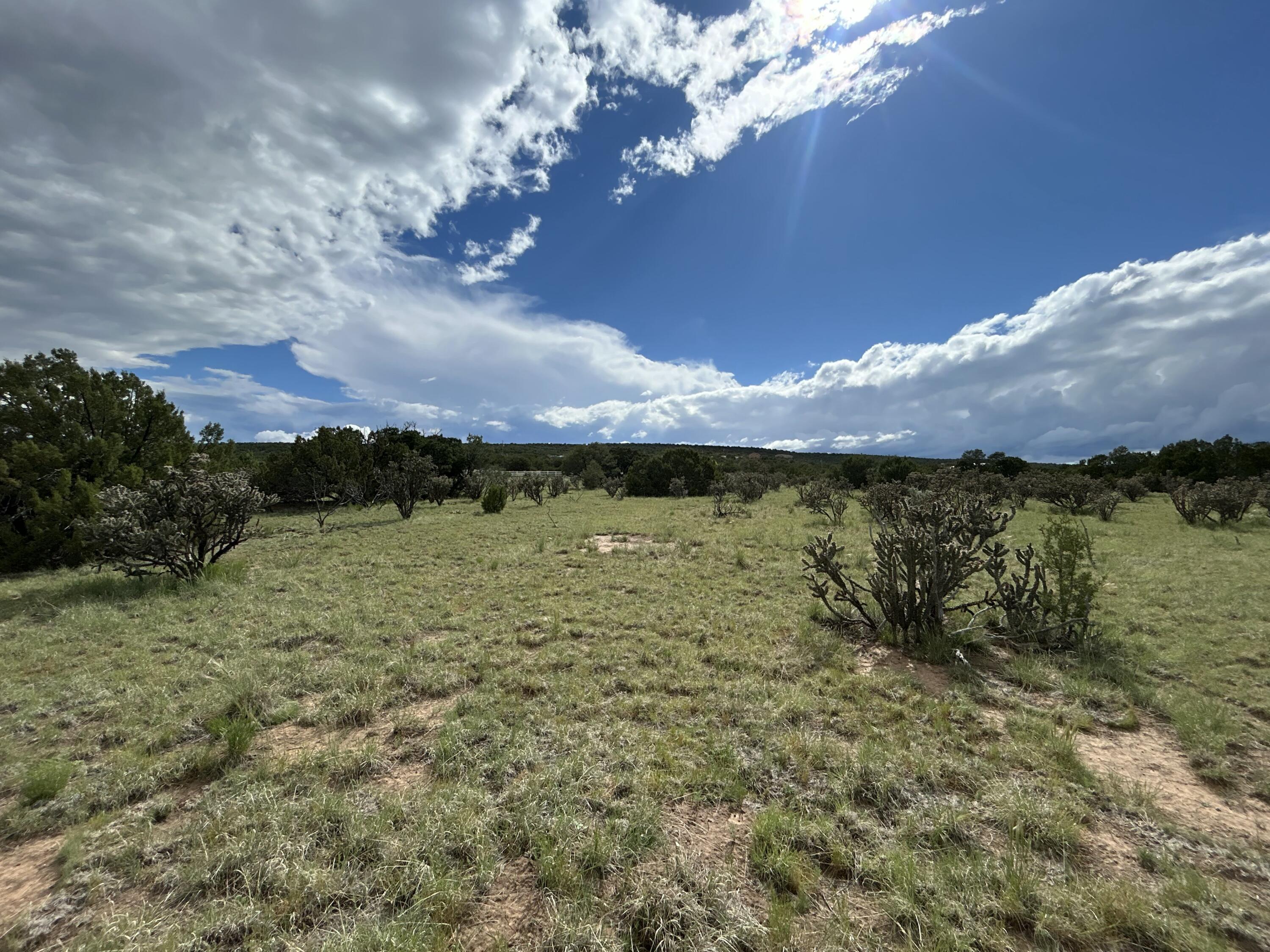 10 Koli Court, Edgewood, New Mexico image 16