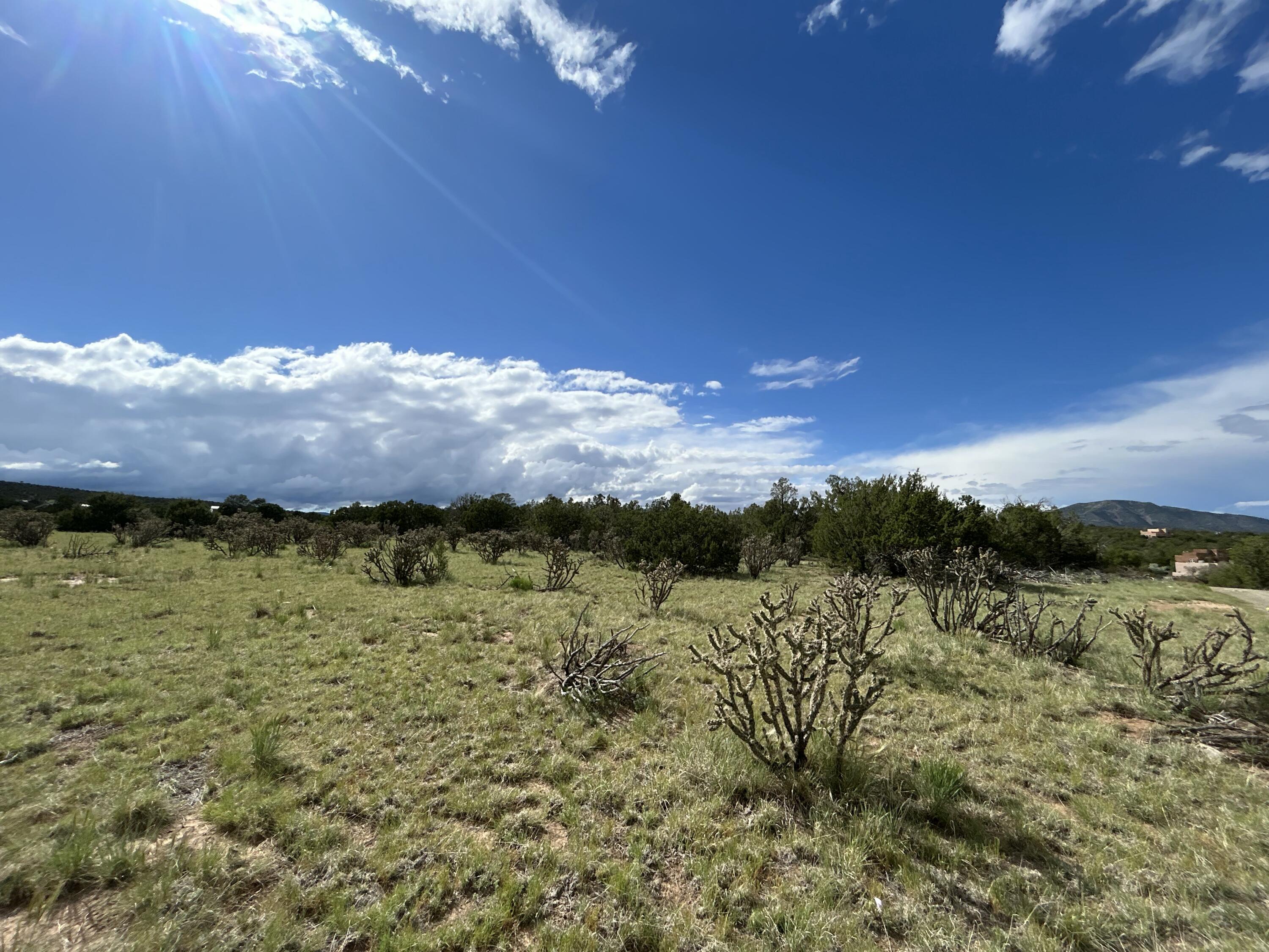 10 Koli Court, Edgewood, New Mexico image 20