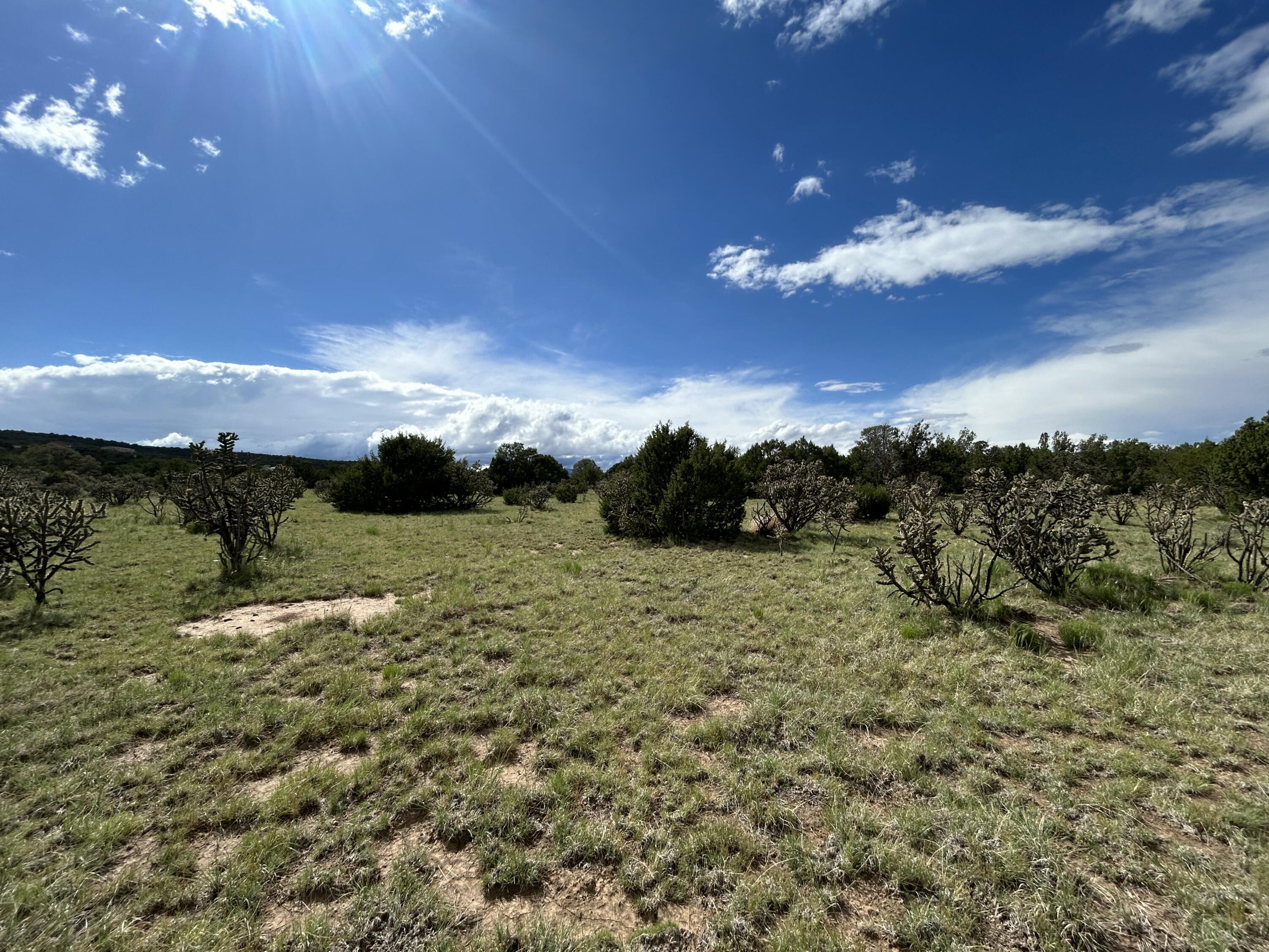 10 Koli Court, Edgewood, New Mexico image 11