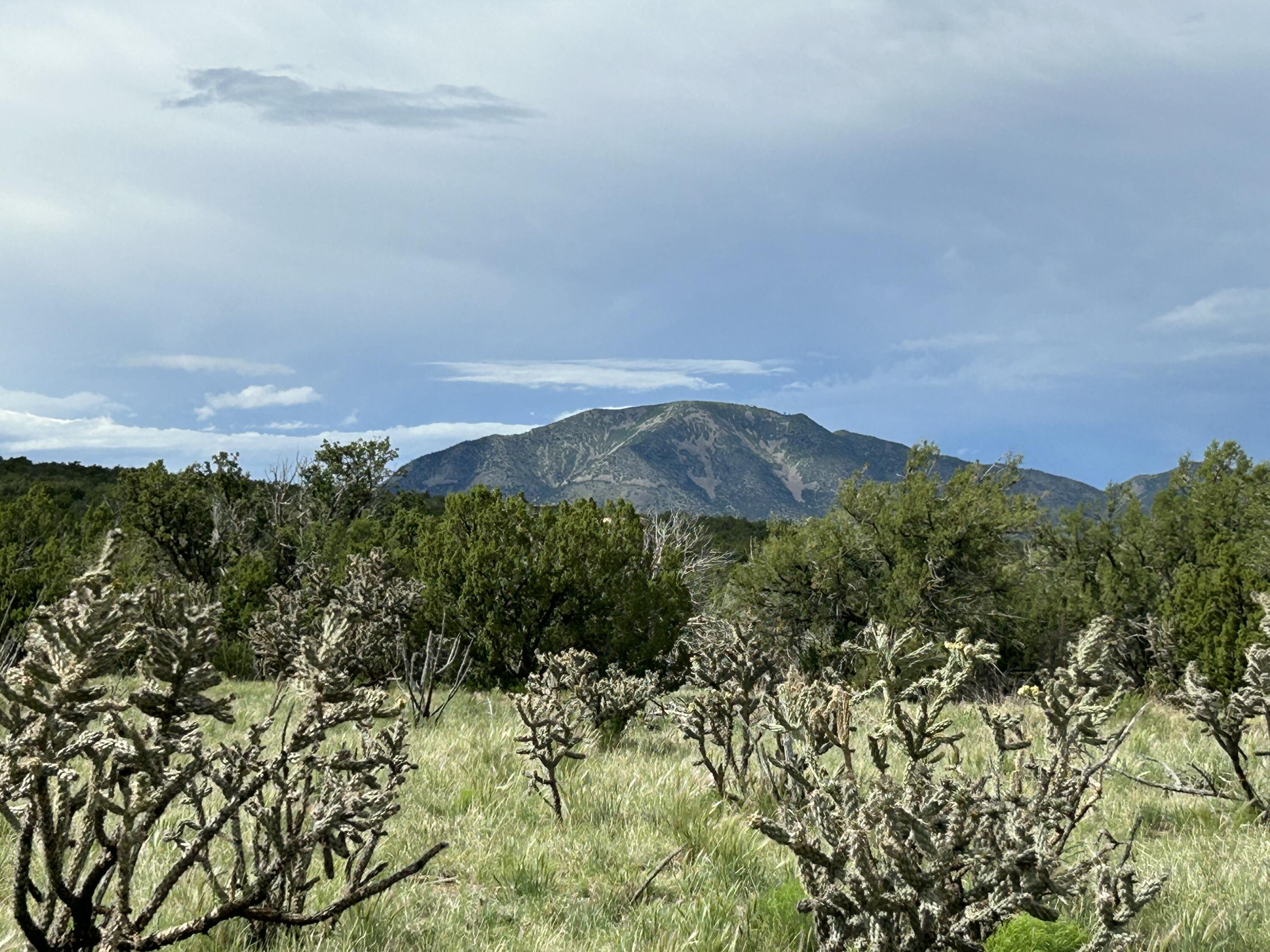 10 Koli Court, Edgewood, New Mexico image 1