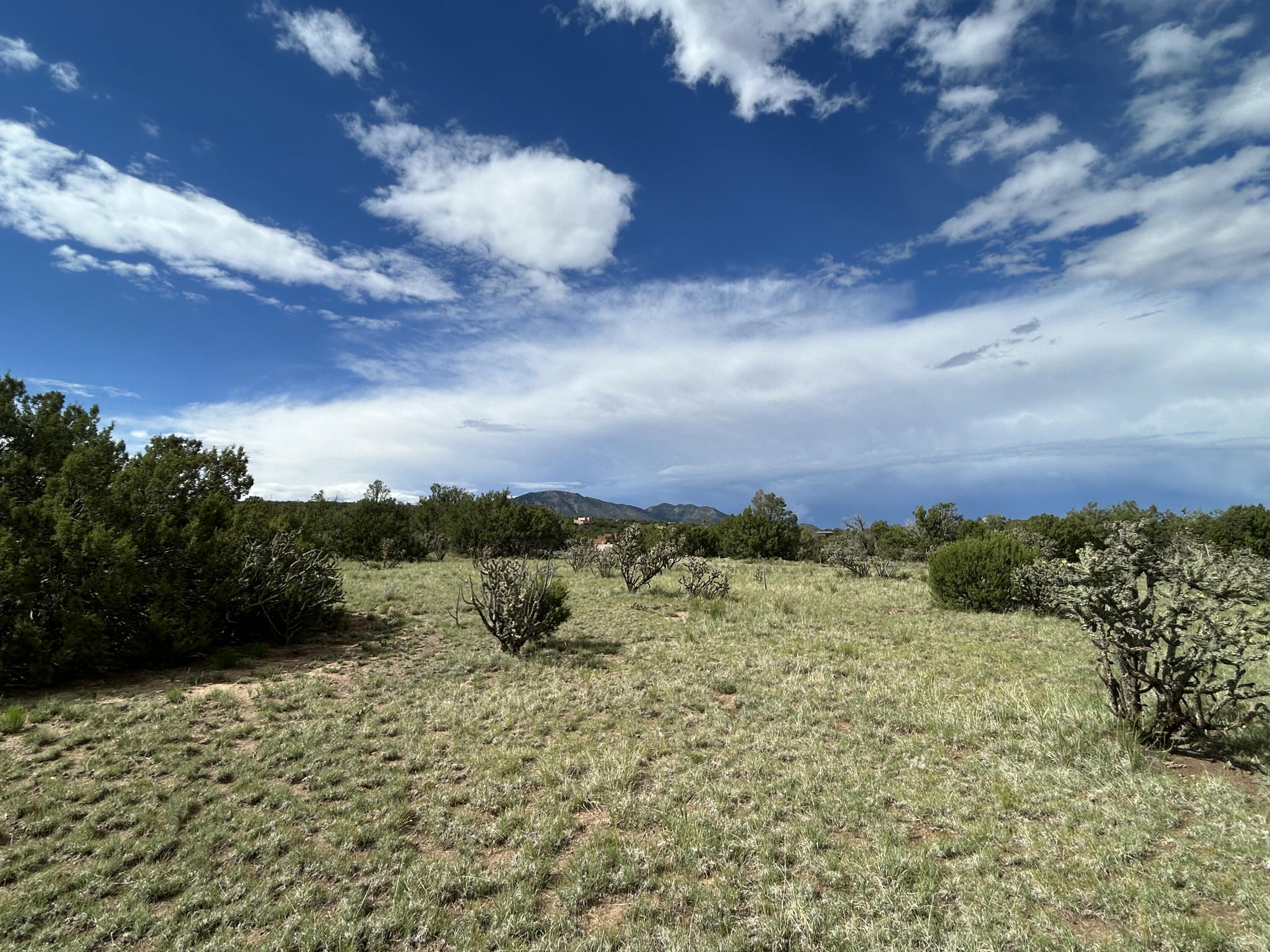 10 Koli Court, Edgewood, New Mexico image 5