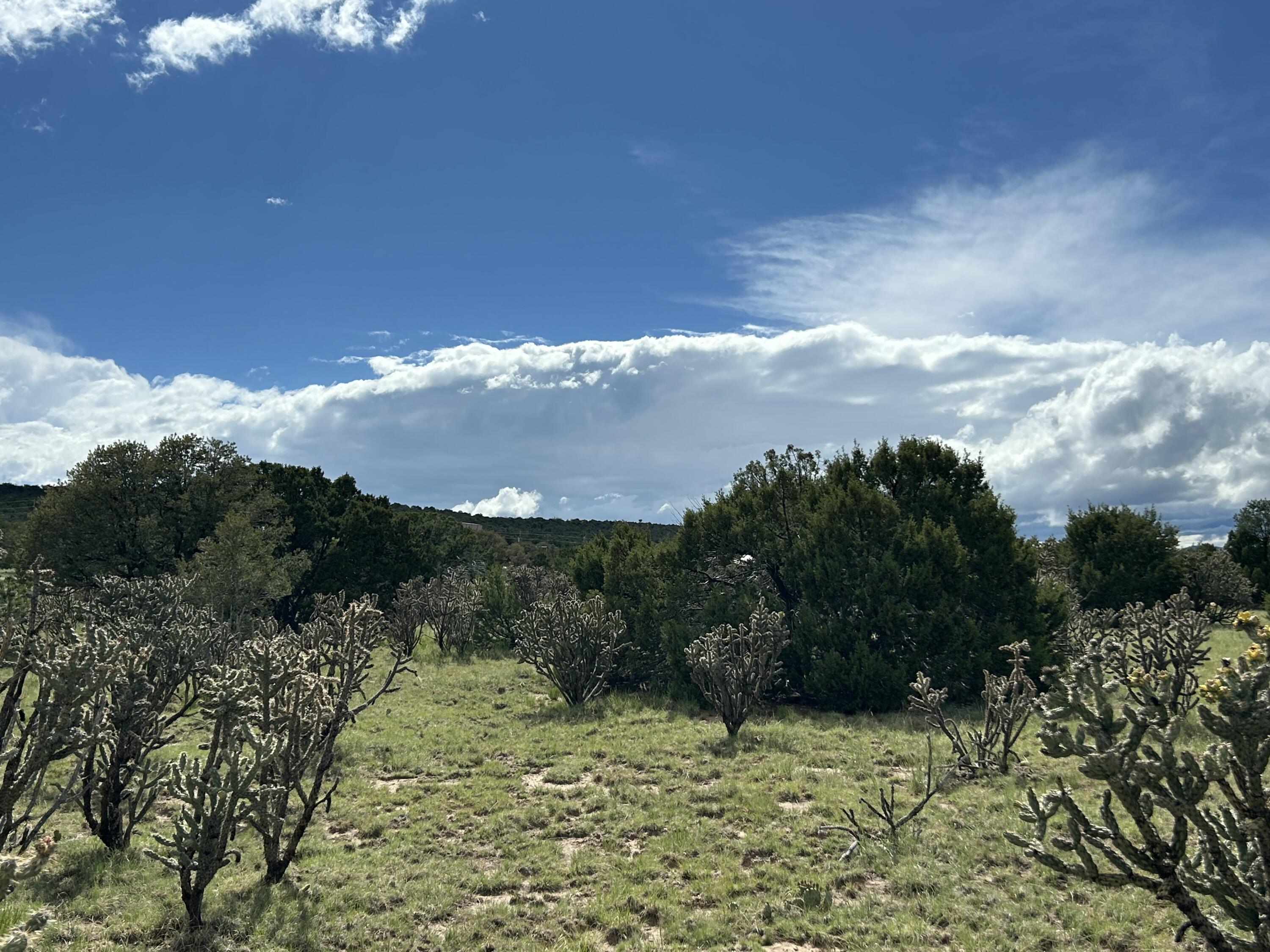 10 Koli Court, Edgewood, New Mexico image 6