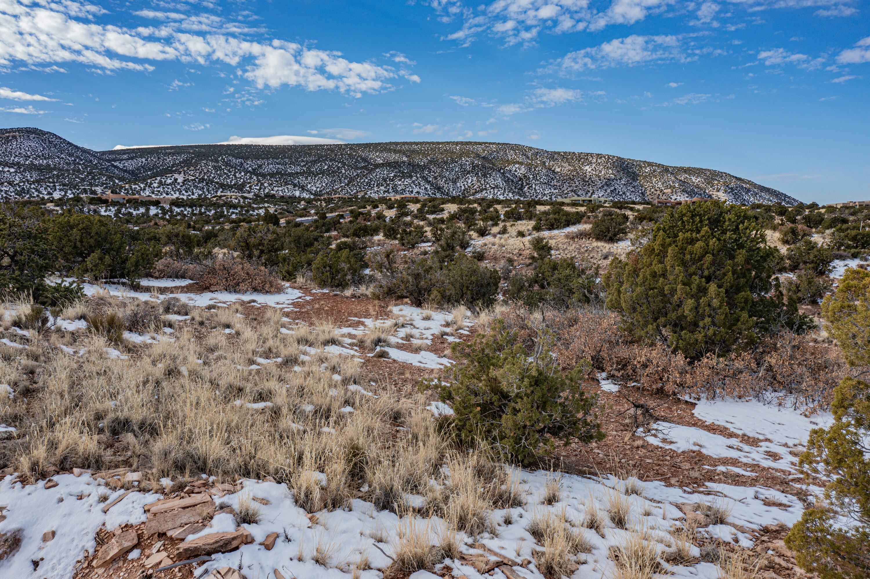 233 North Wild Primrose, Placitas, New Mexico image 3