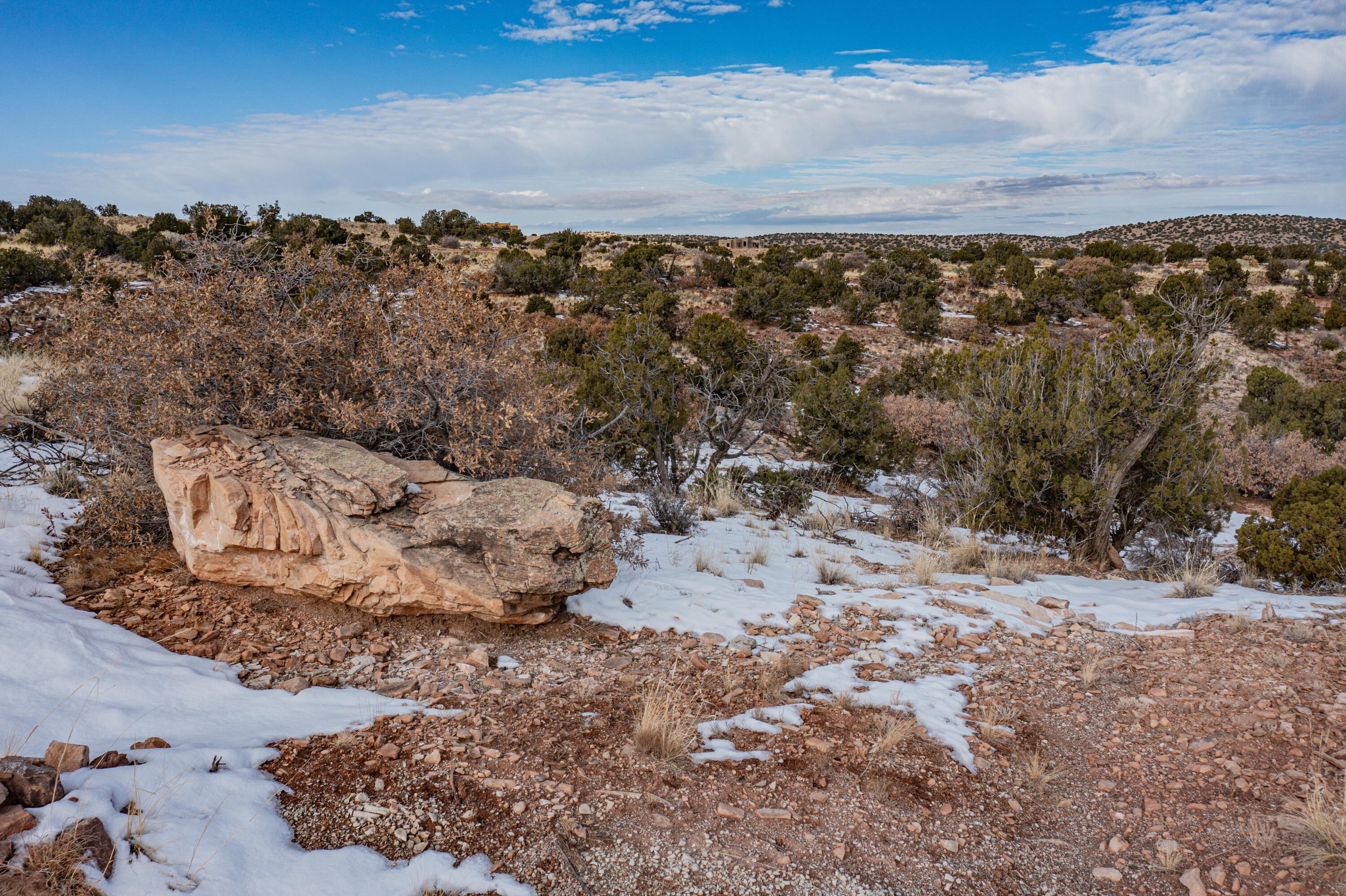 233 North Wild Primrose, Placitas, New Mexico image 5