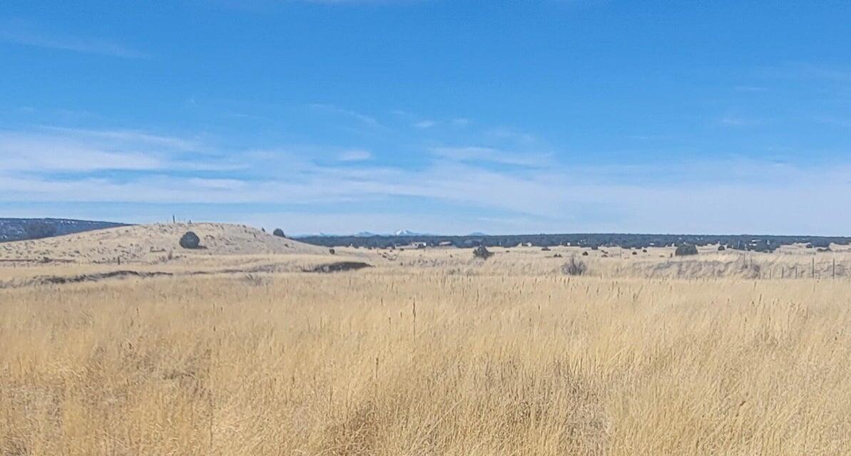 Xx Escudilla Drive, Quemado, New Mexico image 4