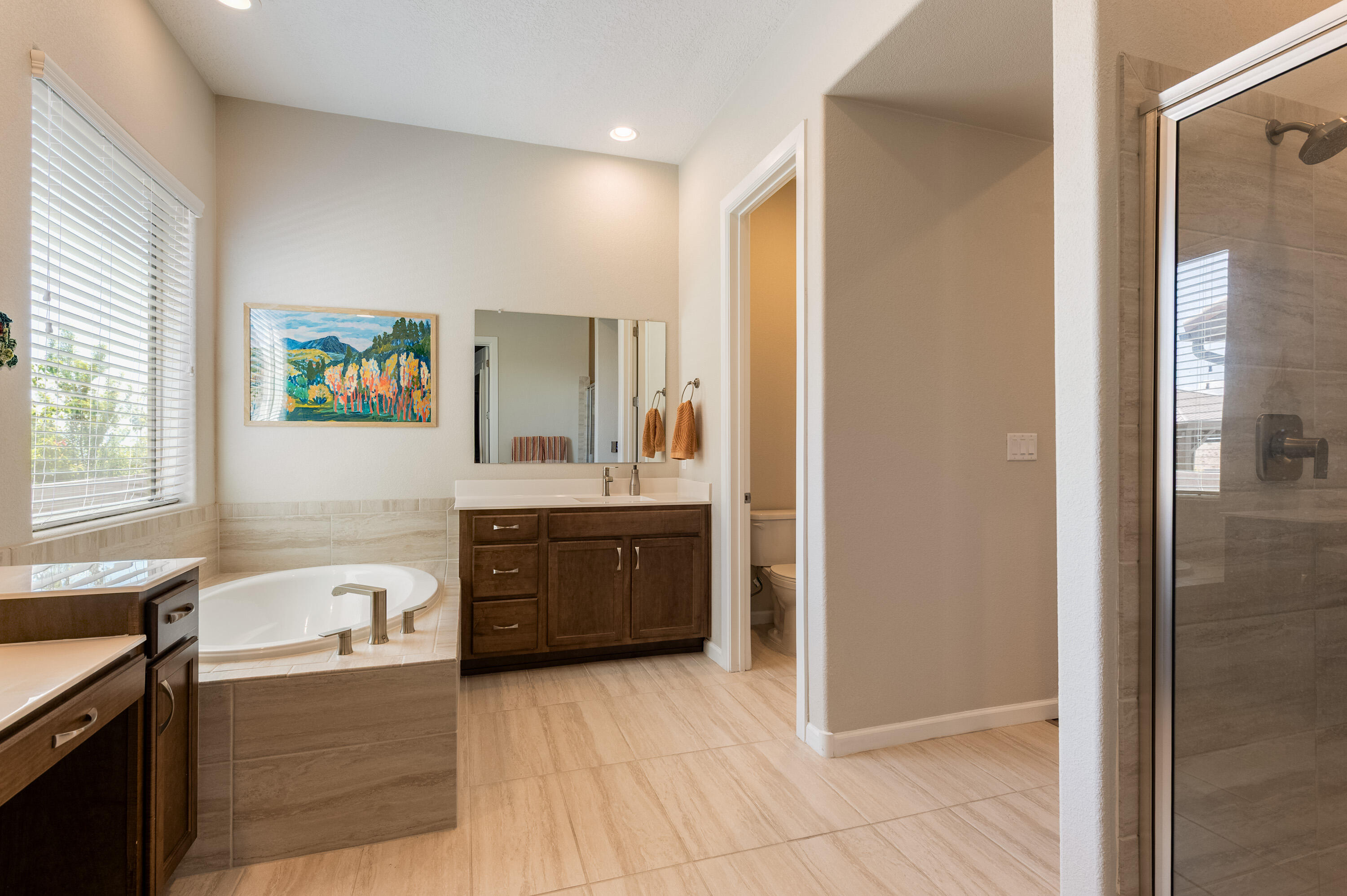 1720 Mount Hood Trail, Albuquerque, New Mexico image 25