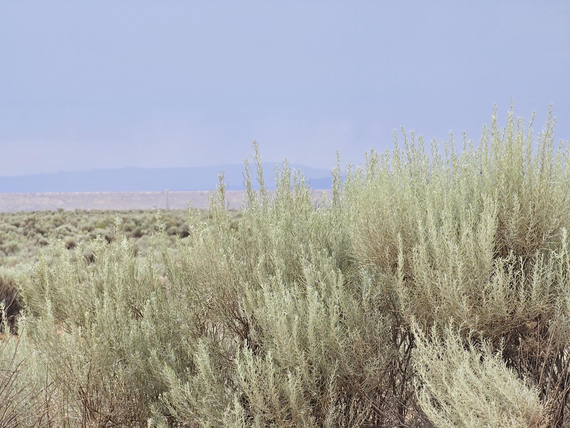 Vl 10 Rio Grande Estates Block 589 #25, Rio Communities, New Mexico image 5