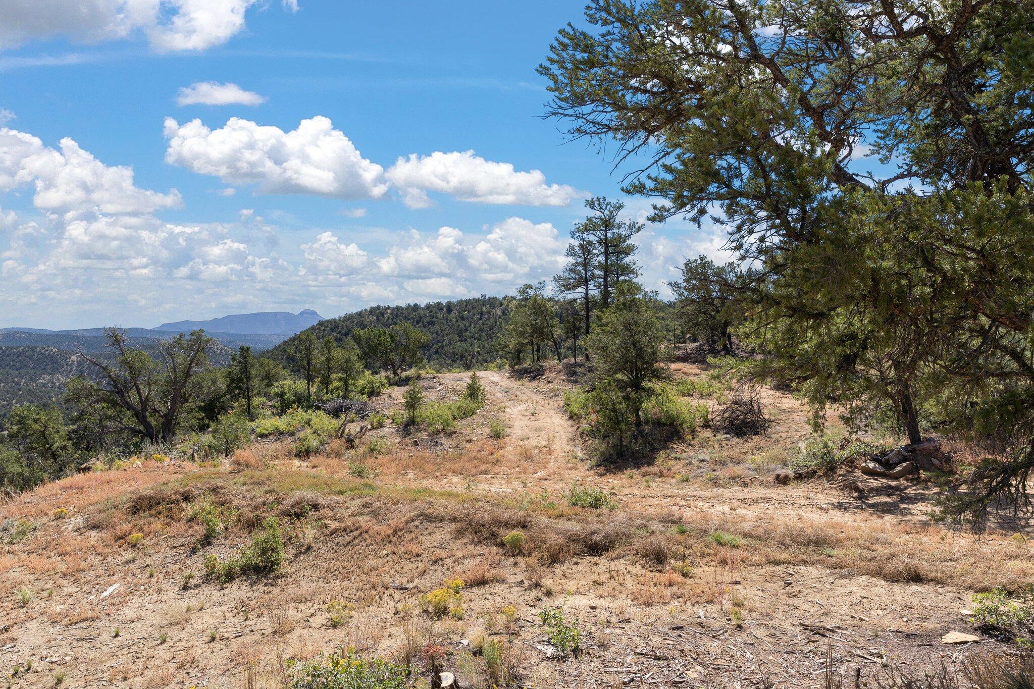 14 Cowboy Drive, Pie Town, New Mexico image 17