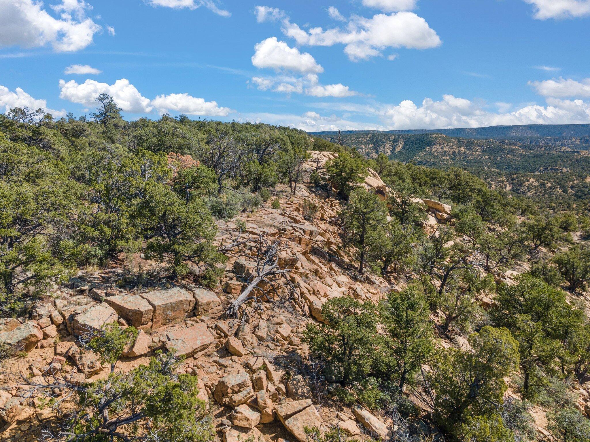 14 Cowboy Drive, Pie Town, New Mexico image 41