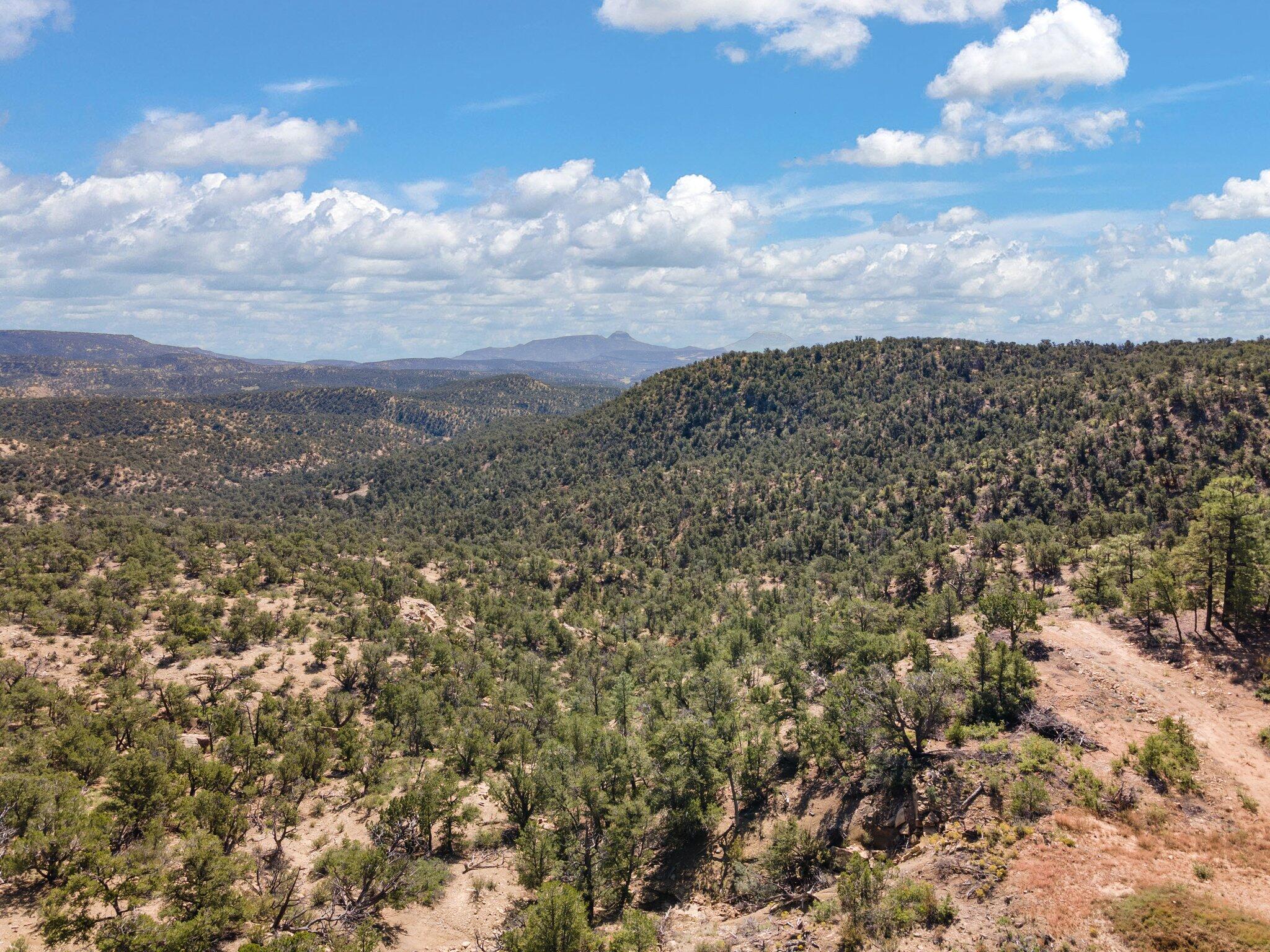 14 Cowboy Drive, Pie Town, New Mexico image 39